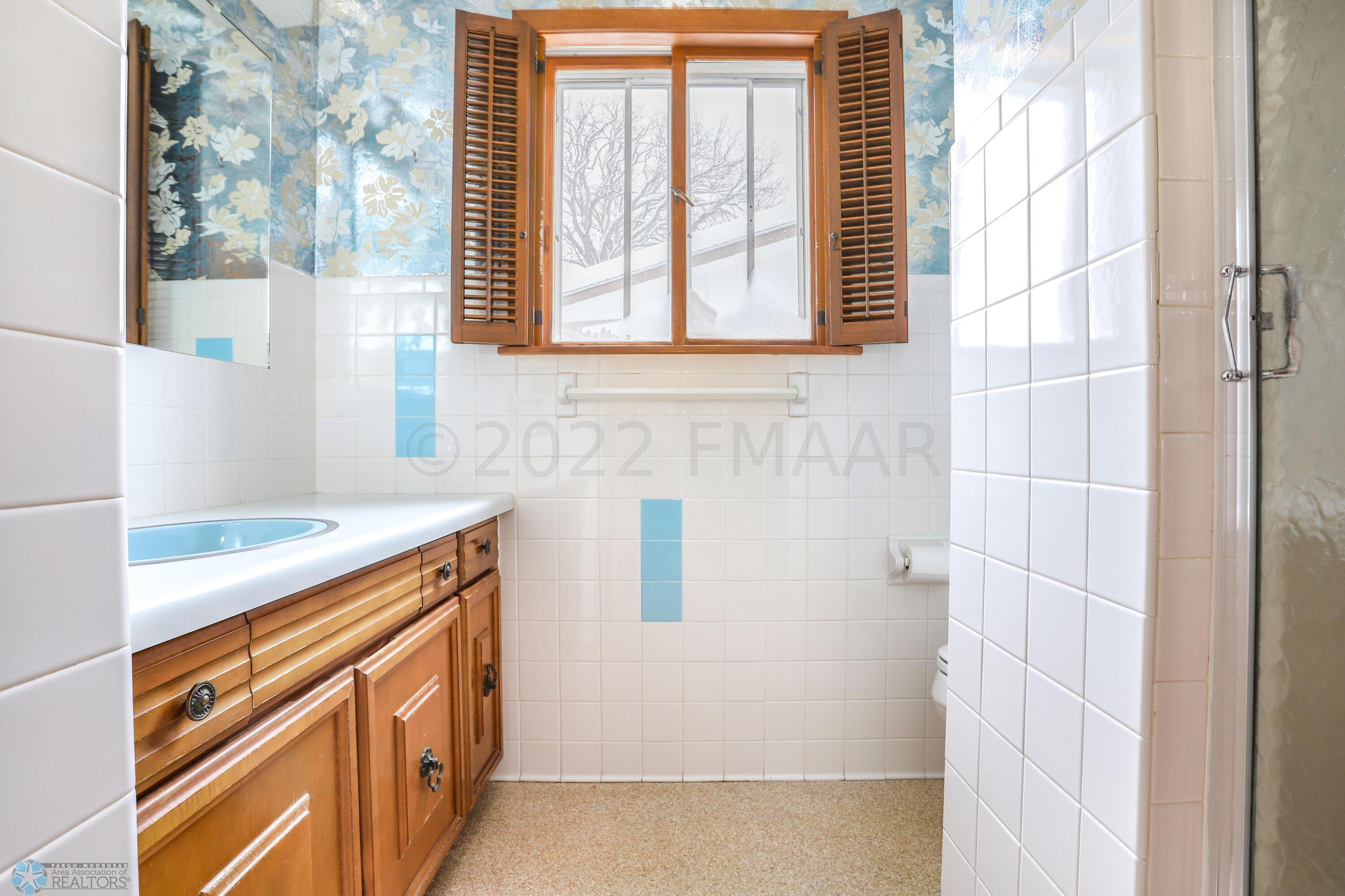 Lower Level Bathroom