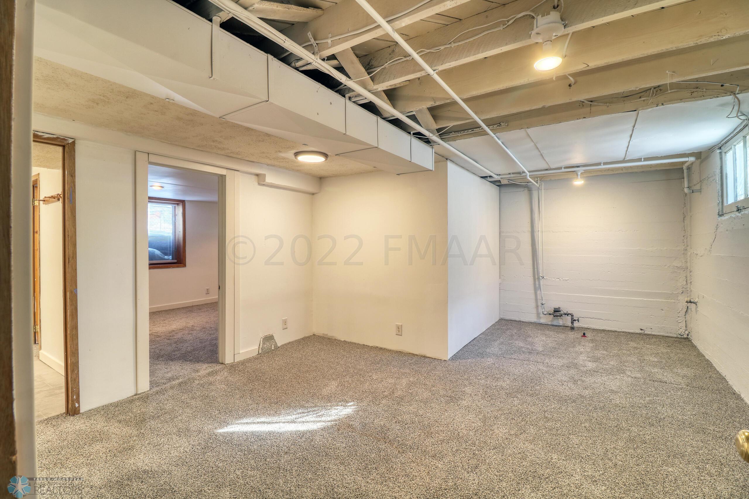 Basement11