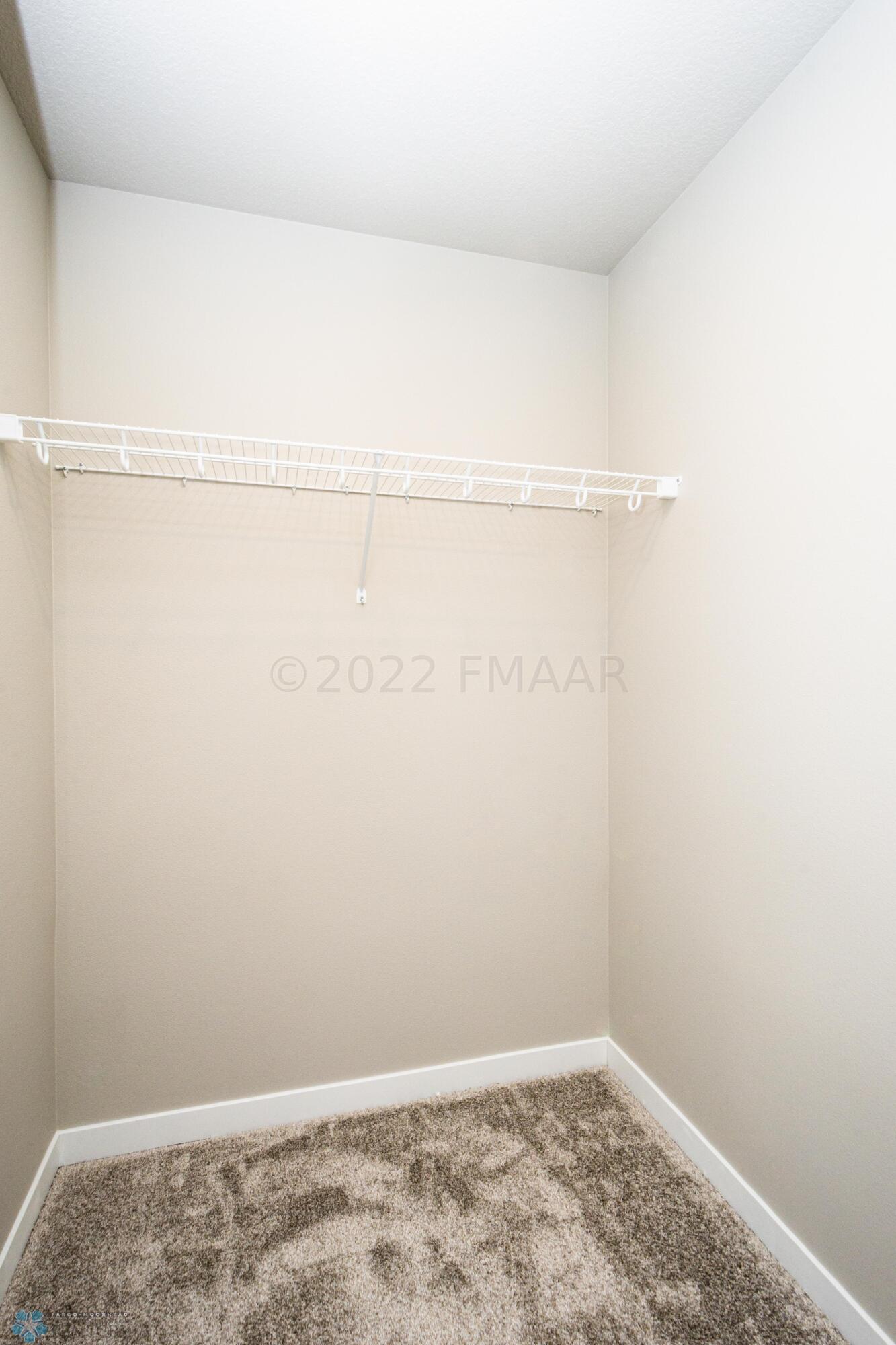 Basement Bedroom WIC