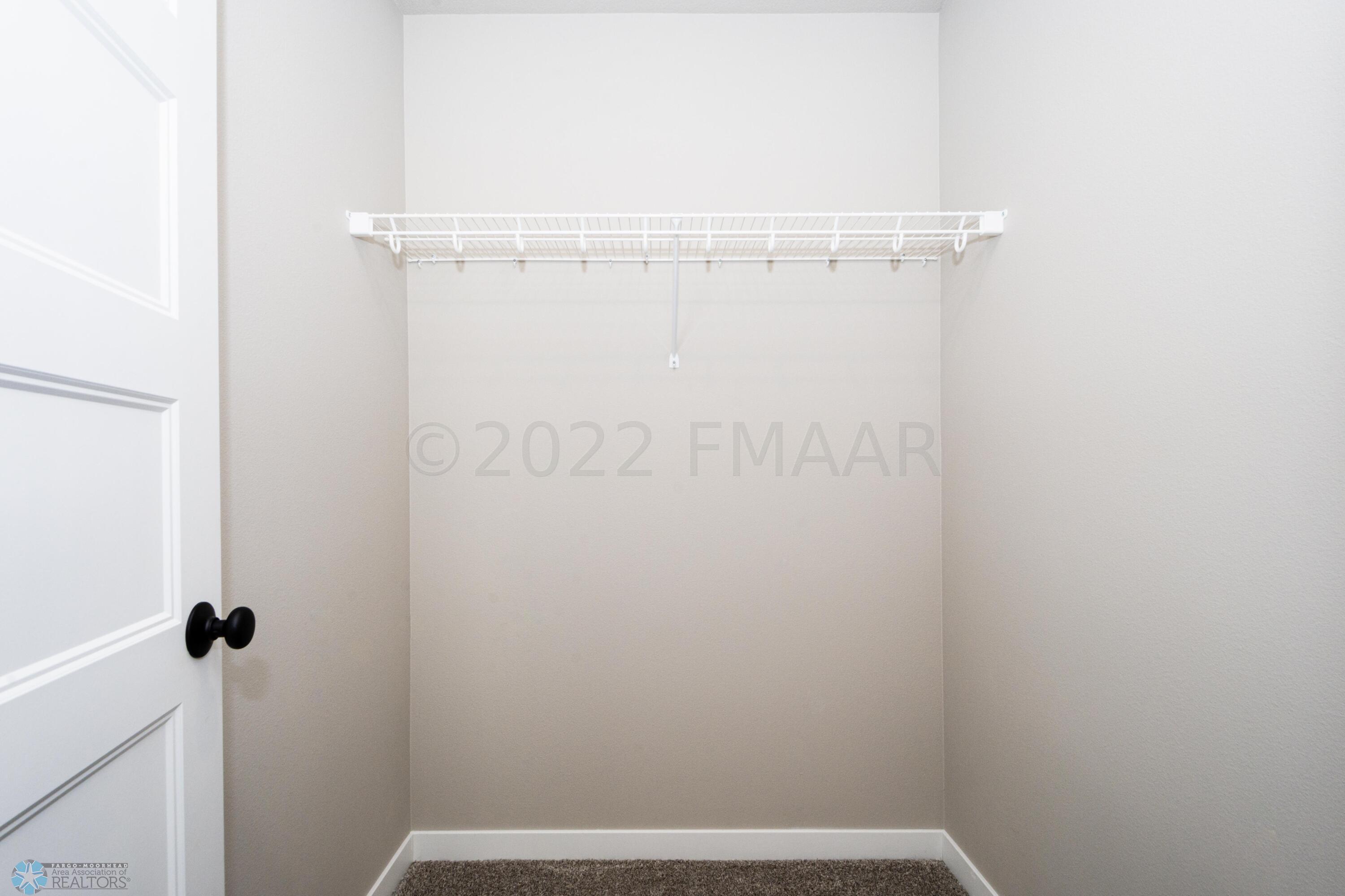 Basement Bedroom WIC