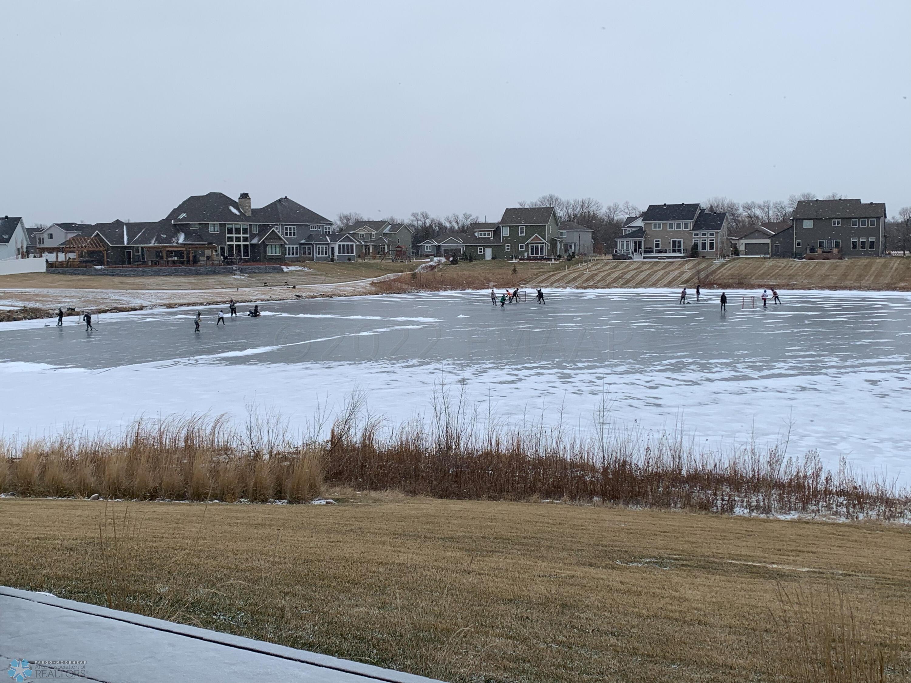 Winter Pond View