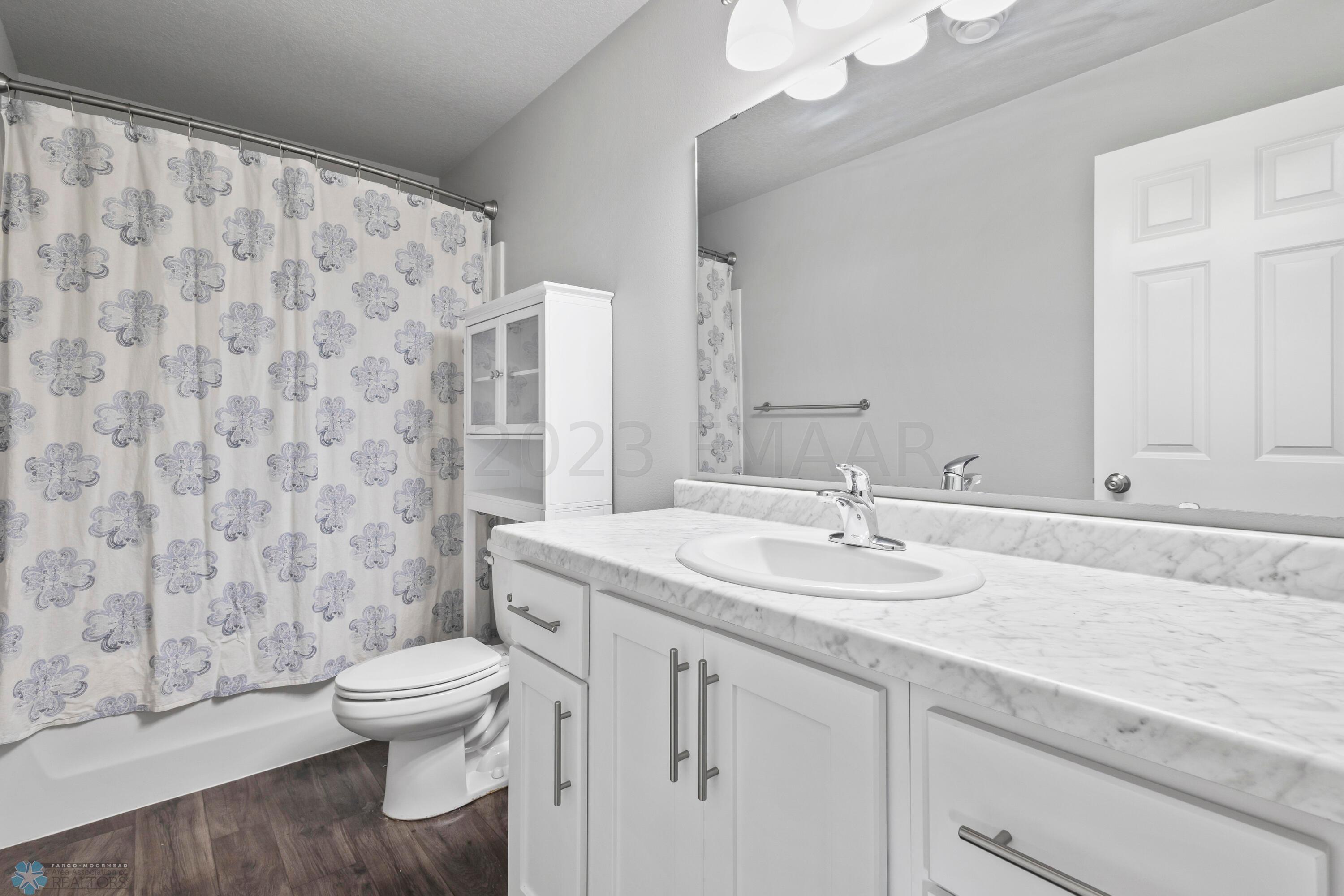 Lower Level Bathroom