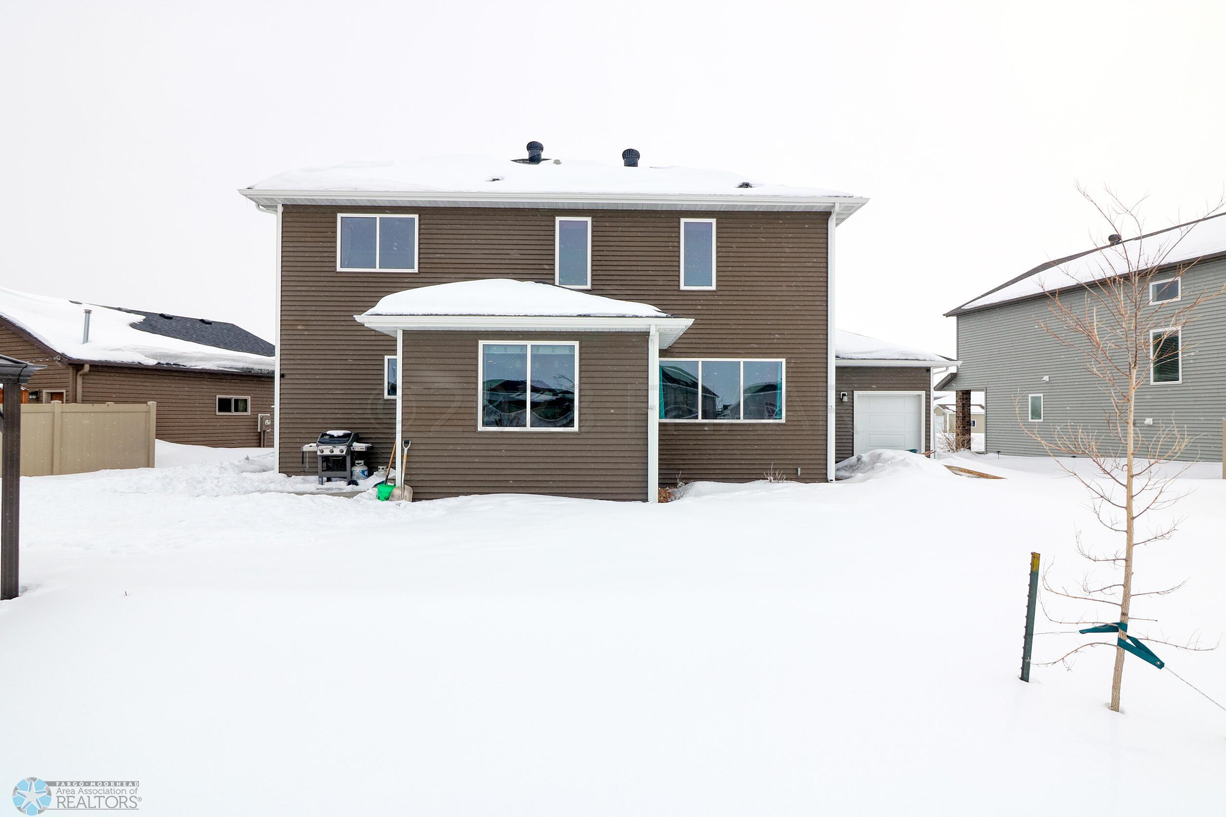 Backyard1_0