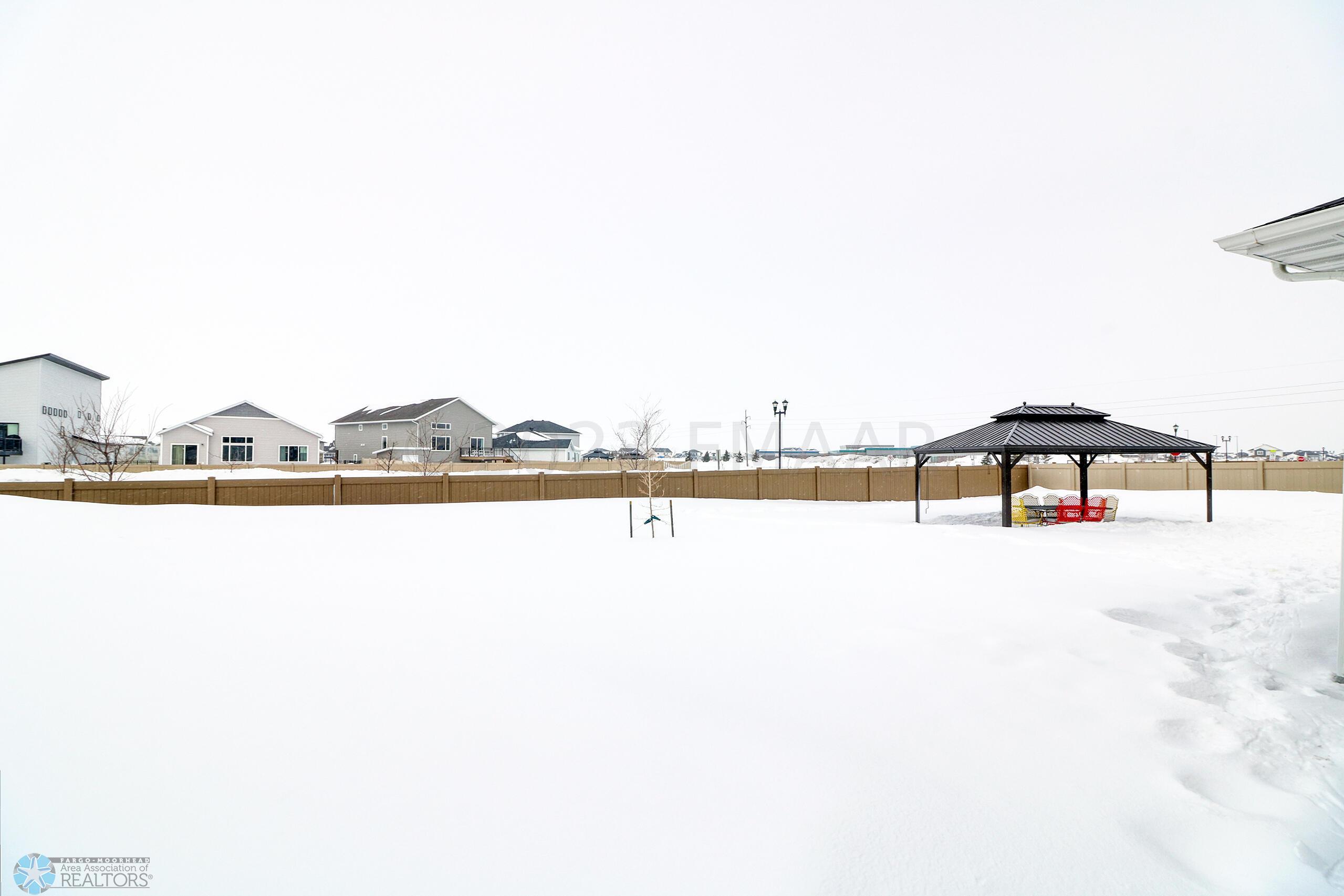 Backyard1_1