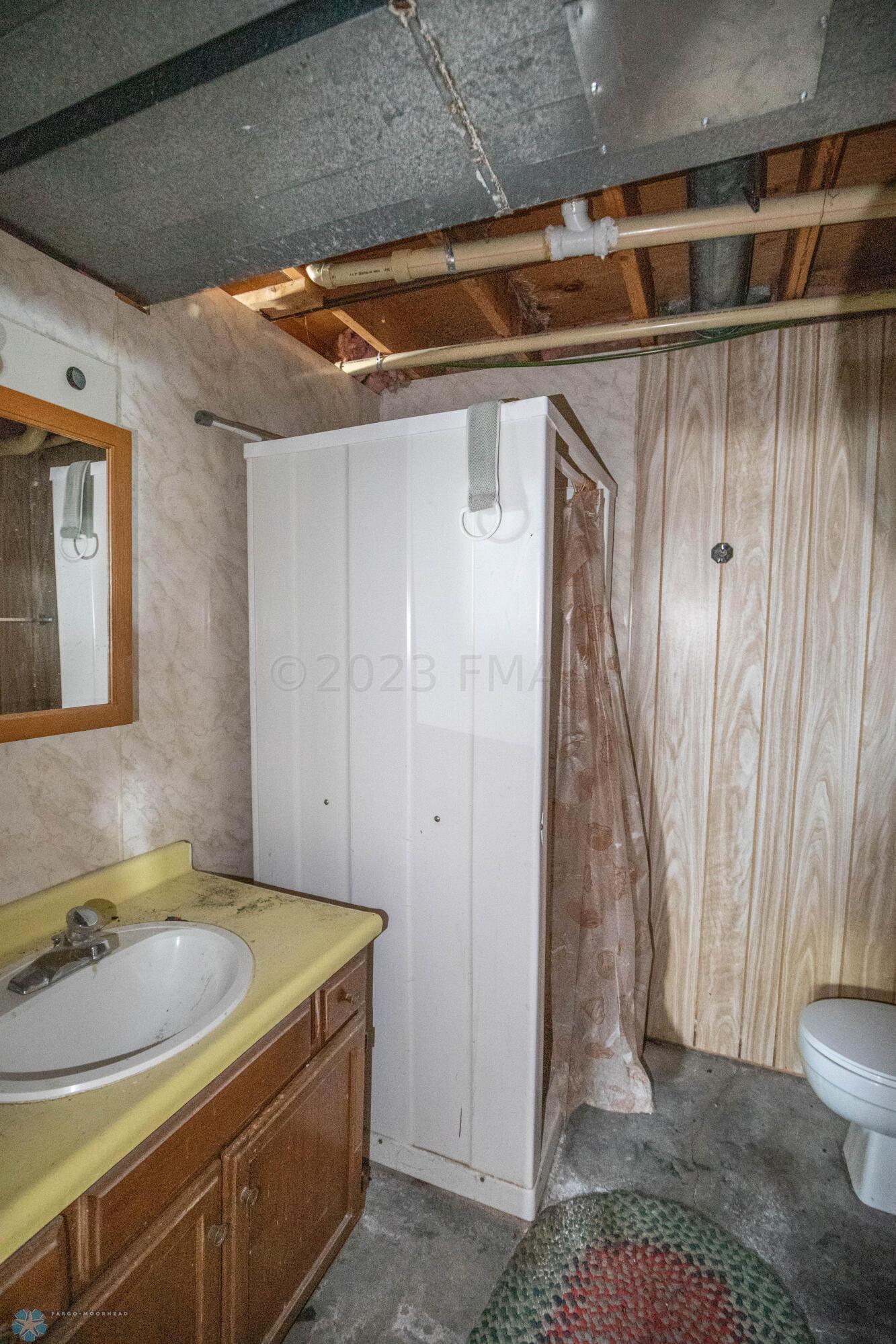 Basement Bathroom