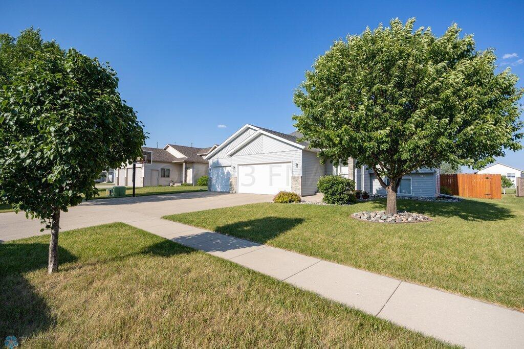 front yard