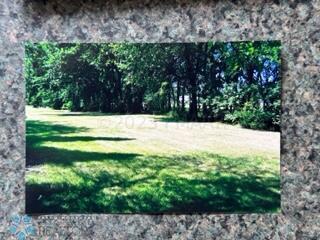 Summer Backyard