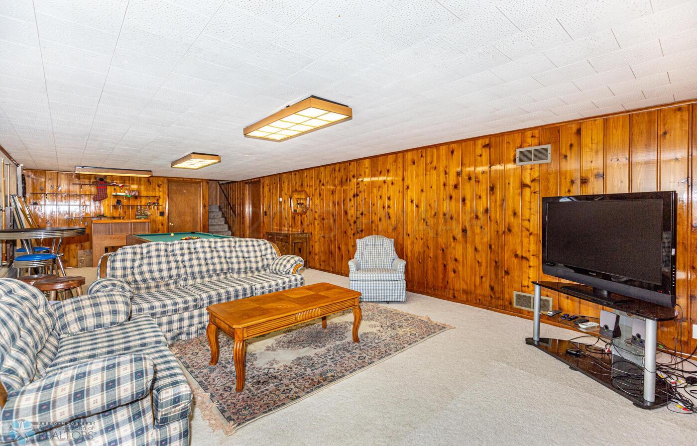 Basement Living Room