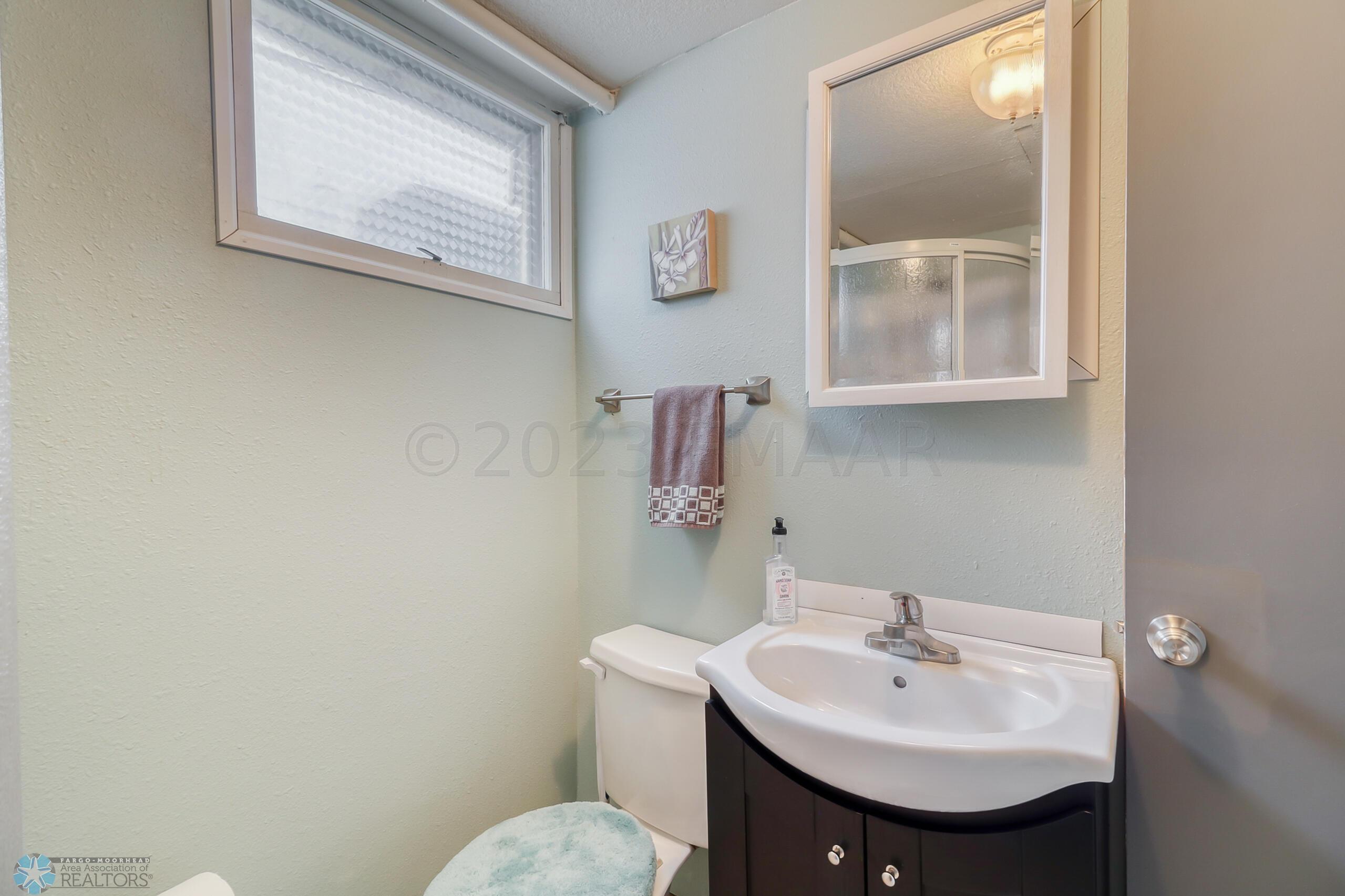 Basement Bathroom