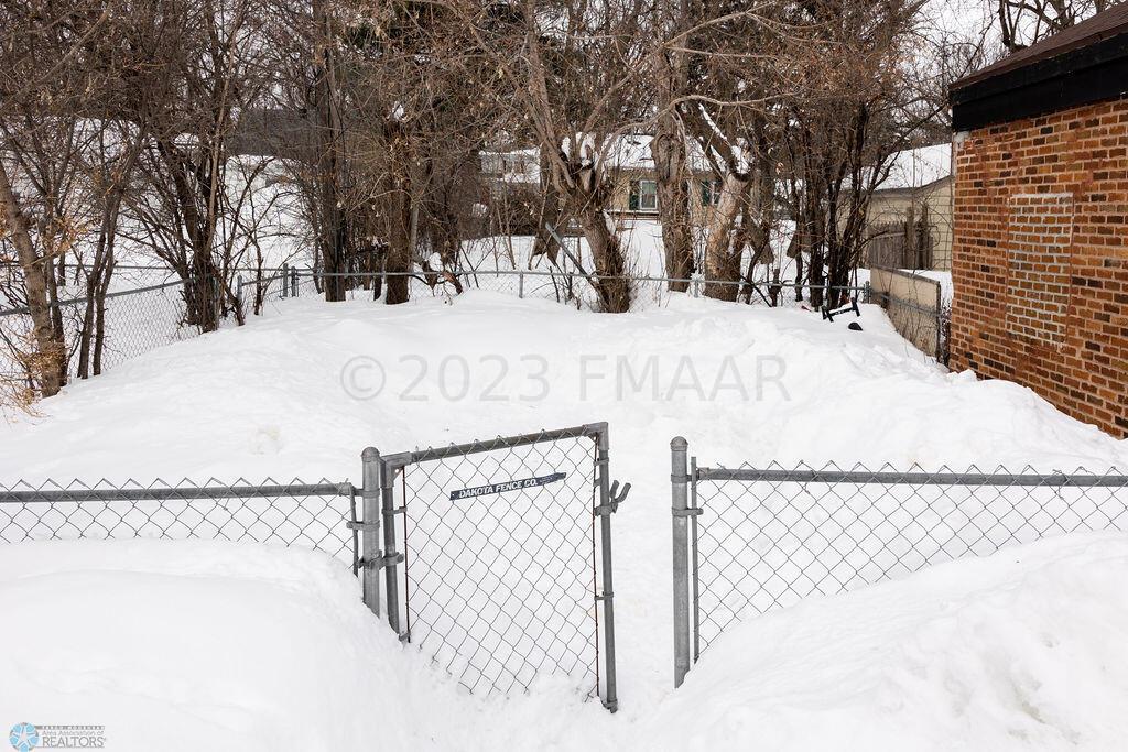 Back yard