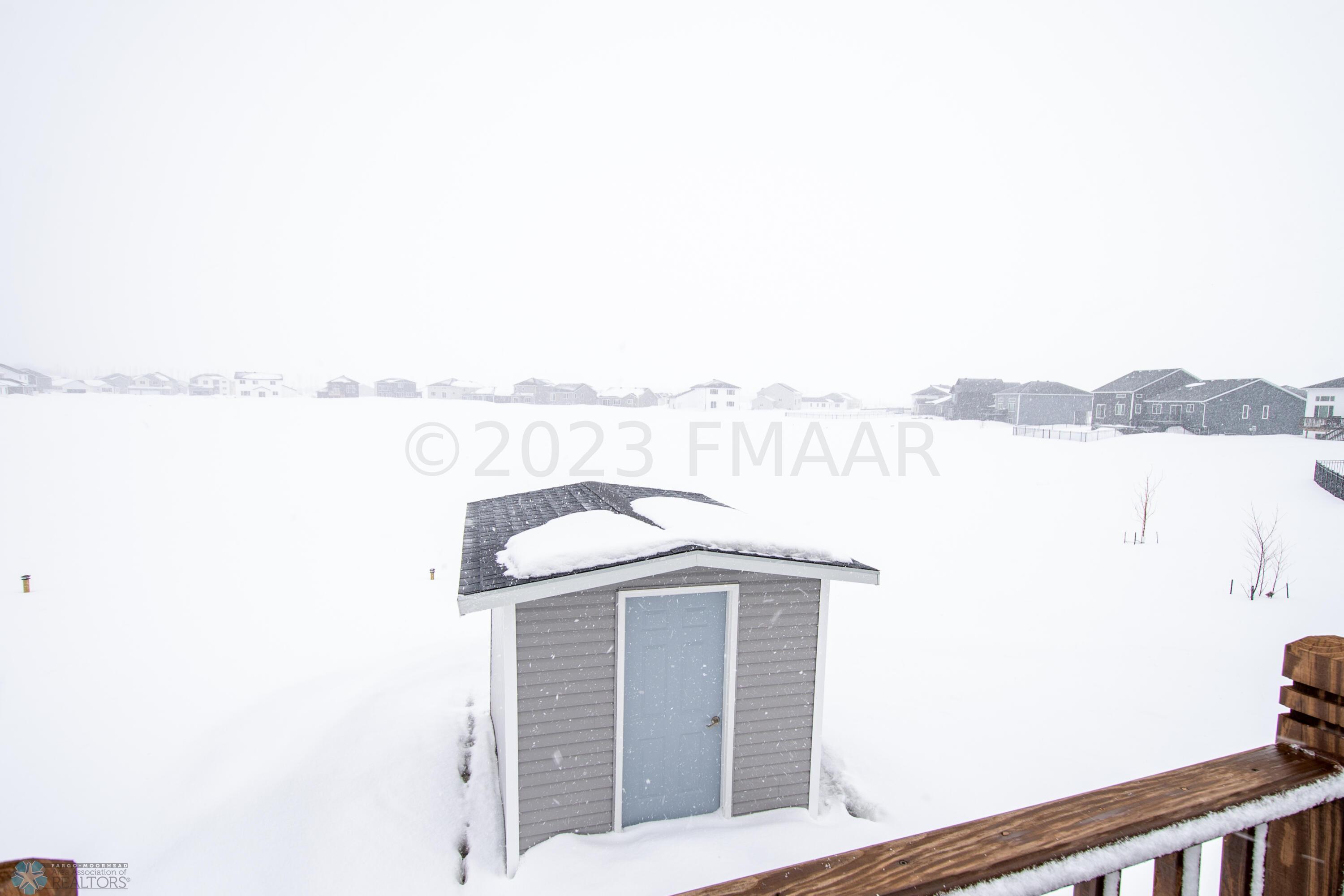 Backyard/Shed