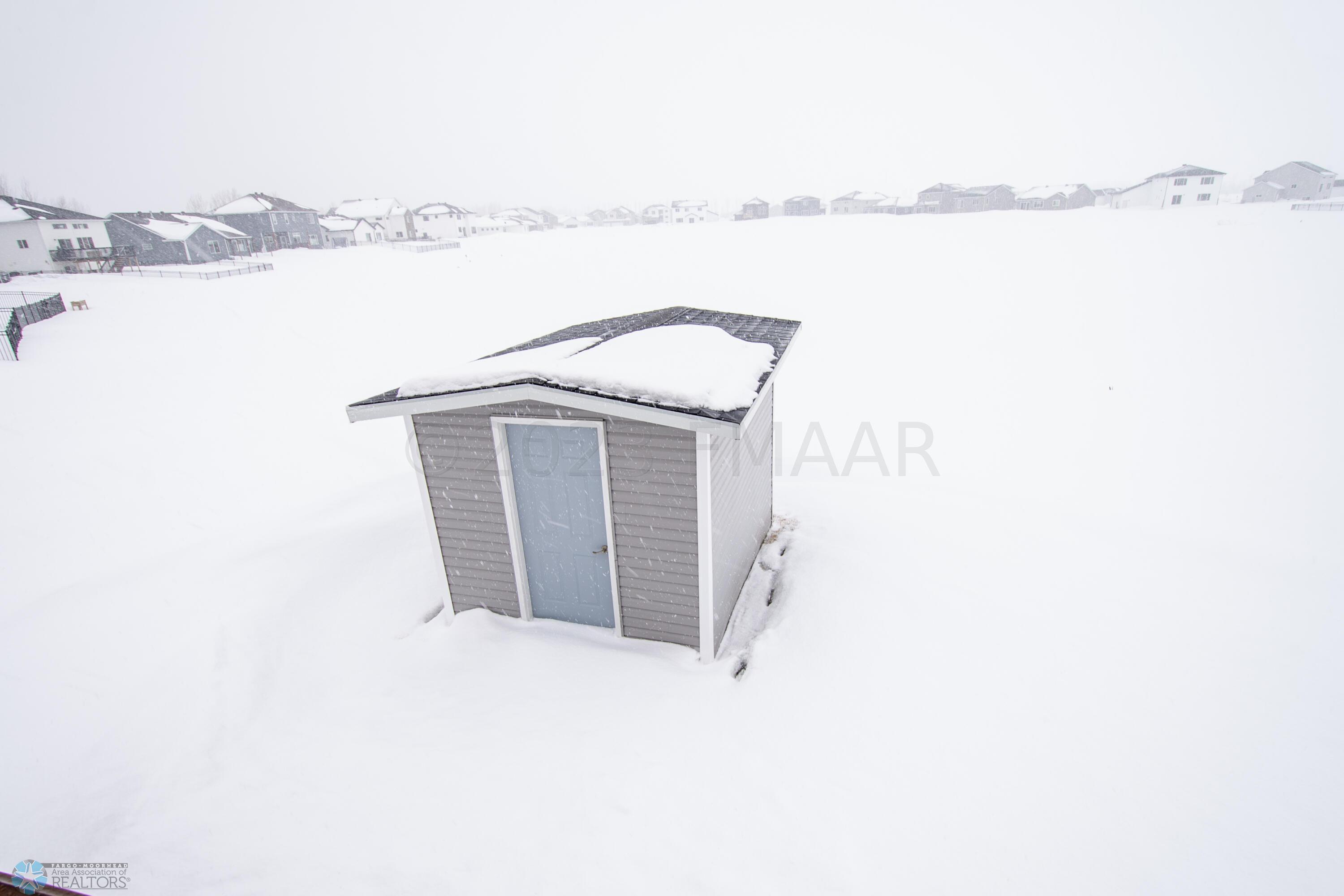 Backyard/Shed