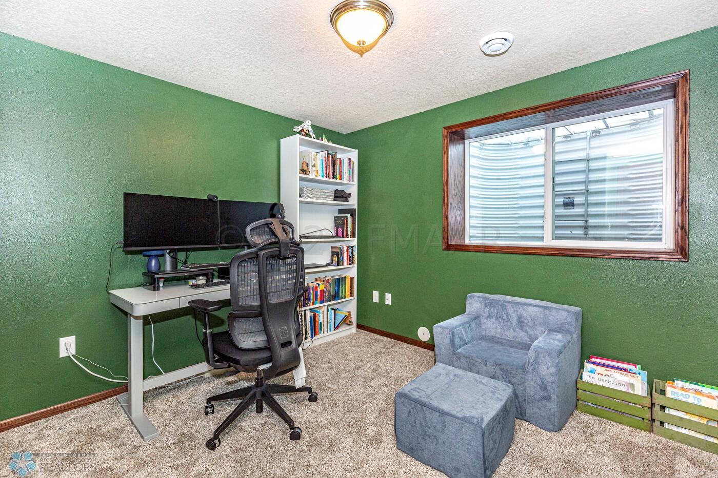 Lower Level Bedroom/Office