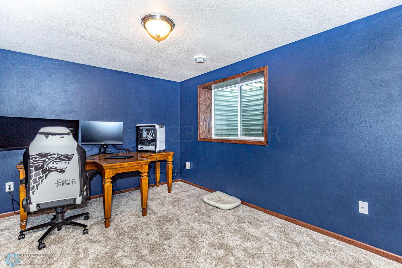 Lower Level Bedroom/Office