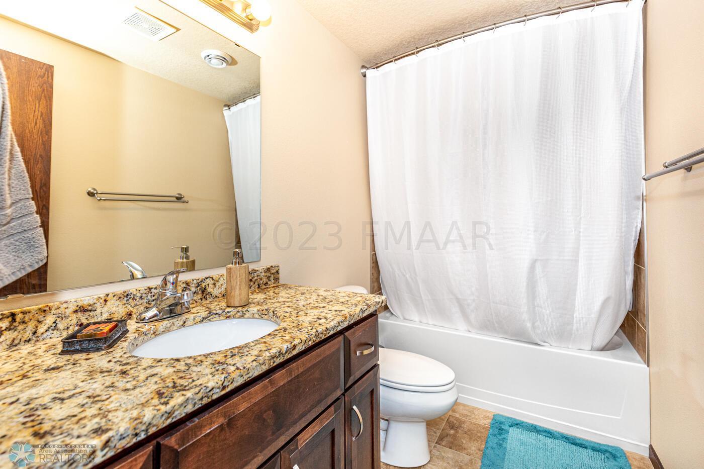 Lower LEvel Bathroom