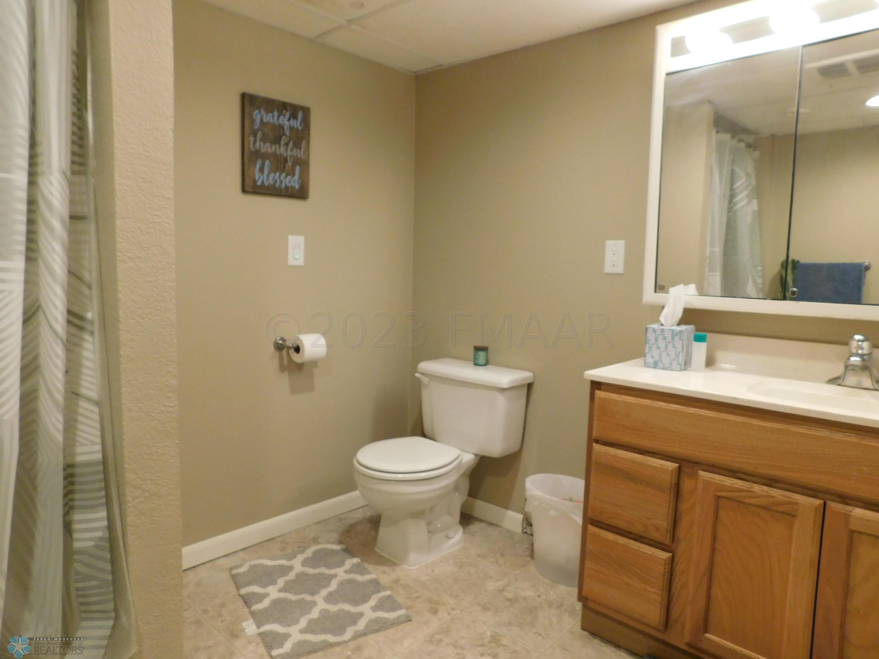 basement bathroom