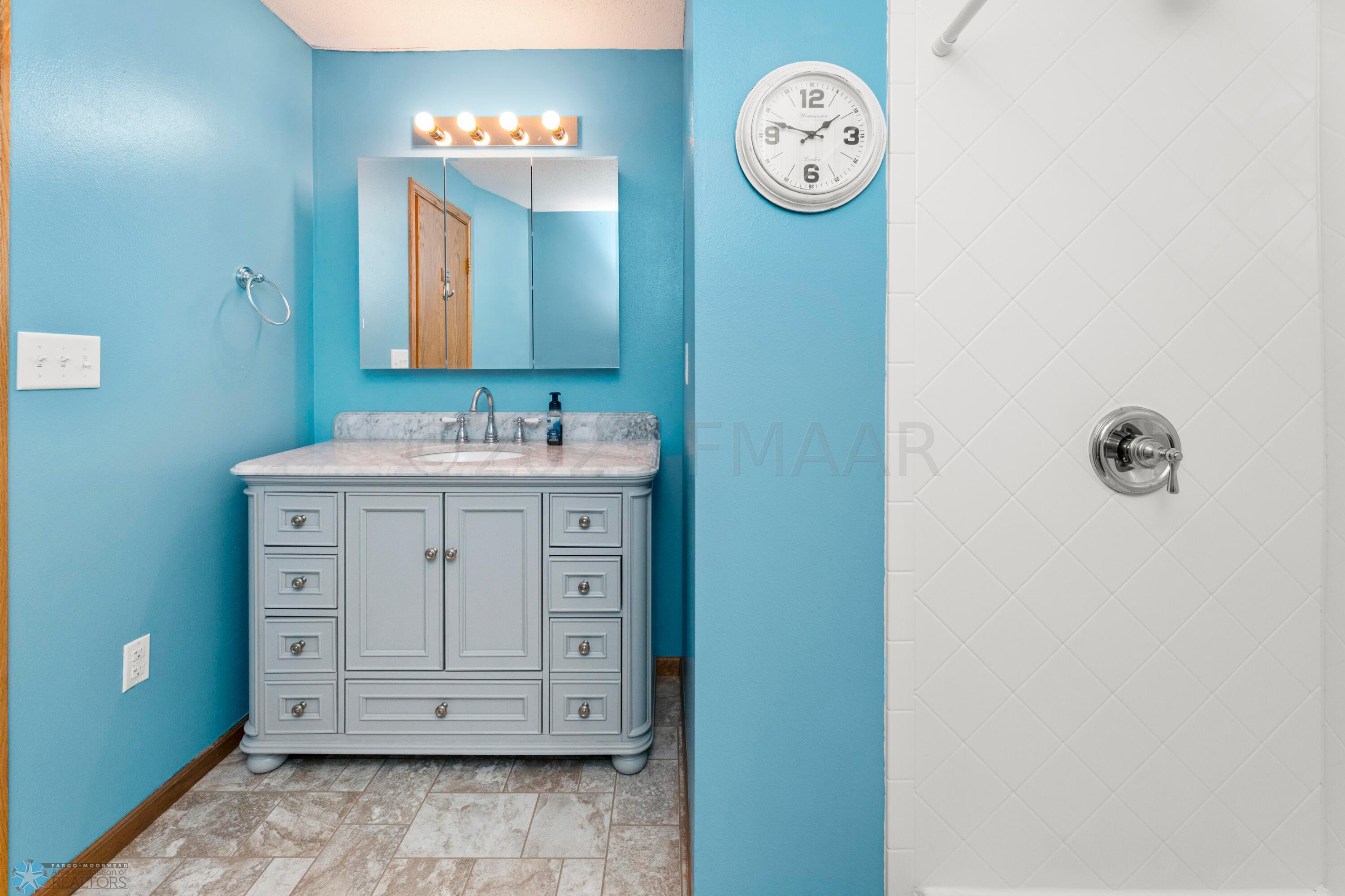 Lower Level Bathroom