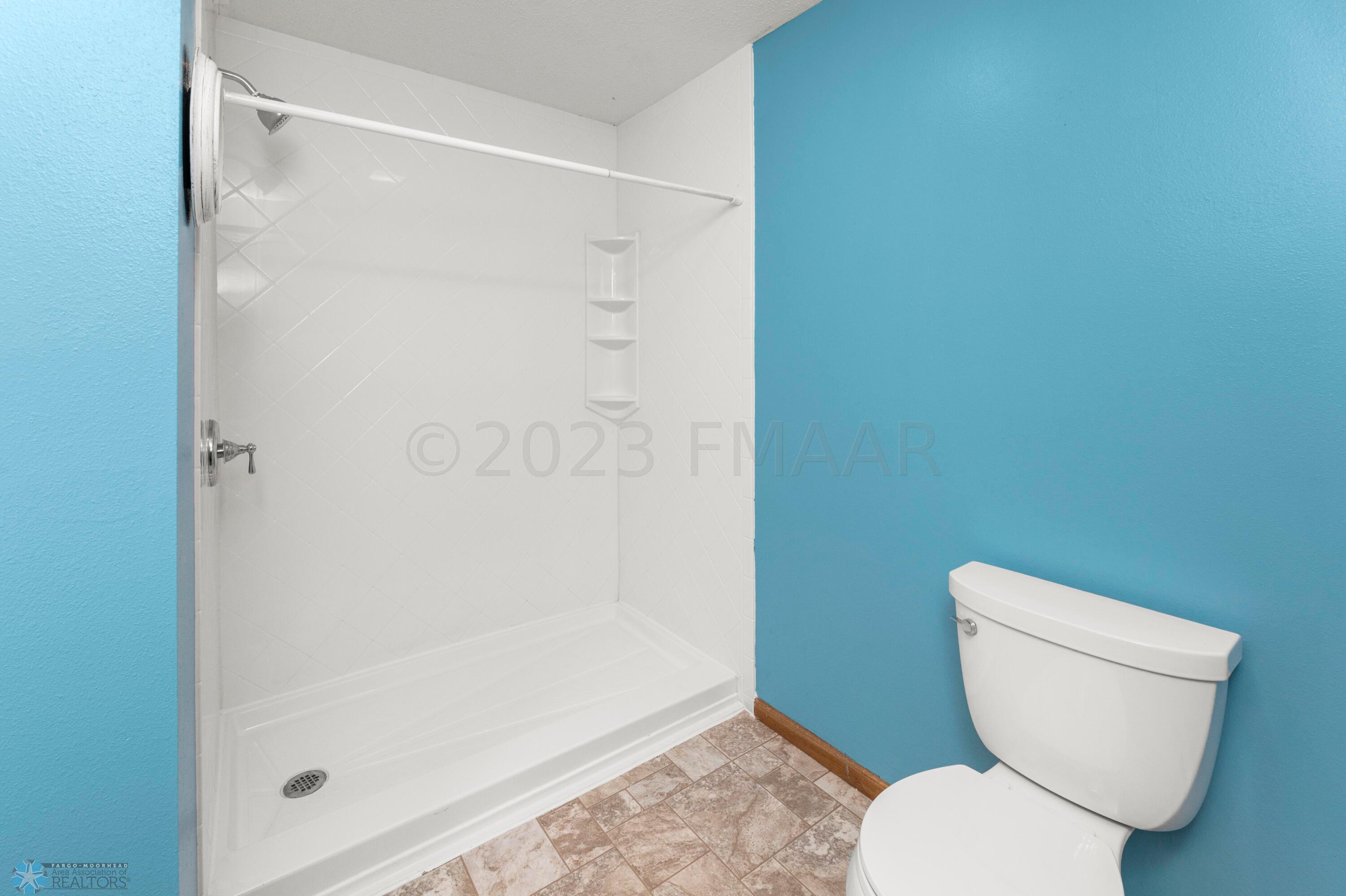 Lower Level Bathroom
