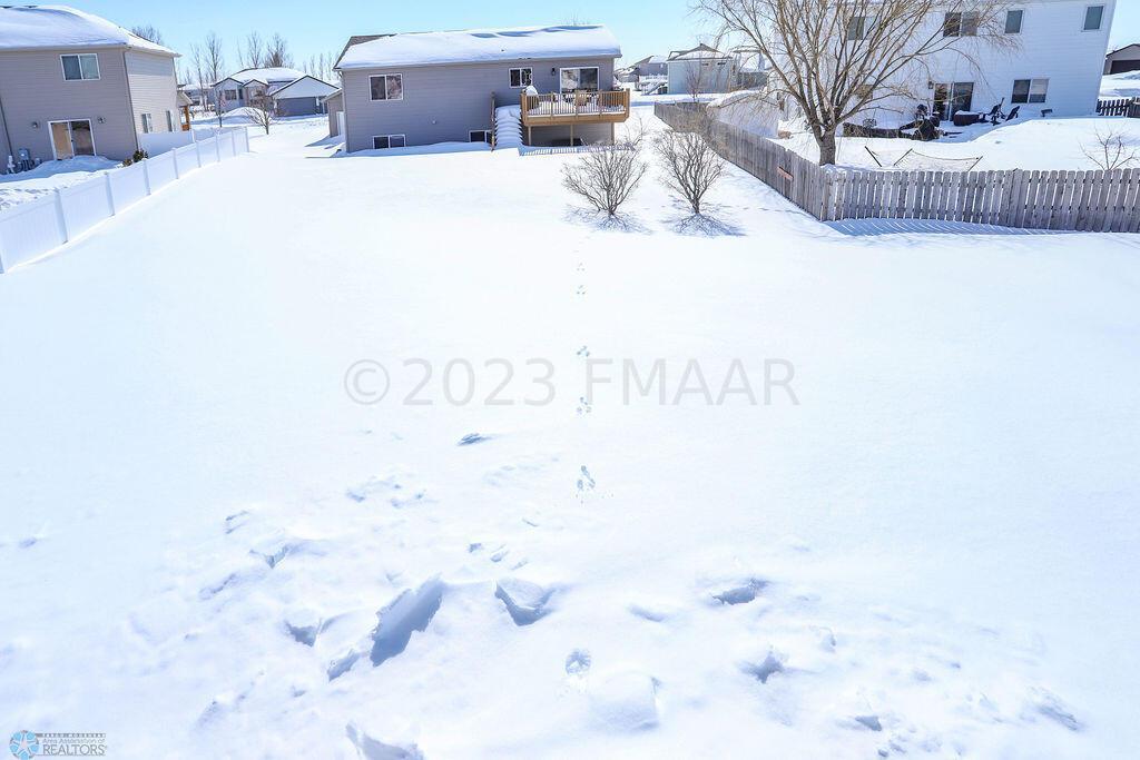 back yard