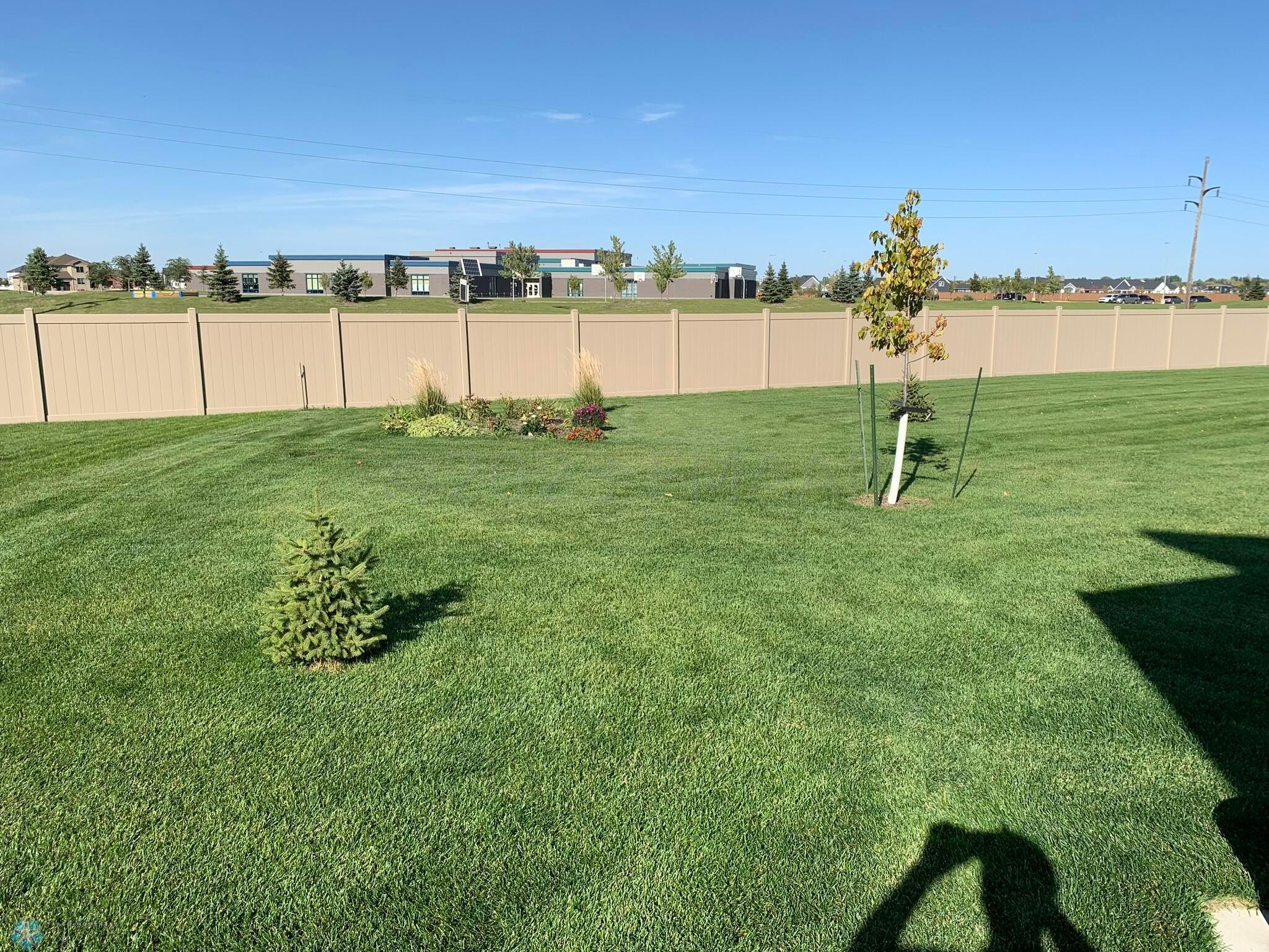 Backyard- Summer