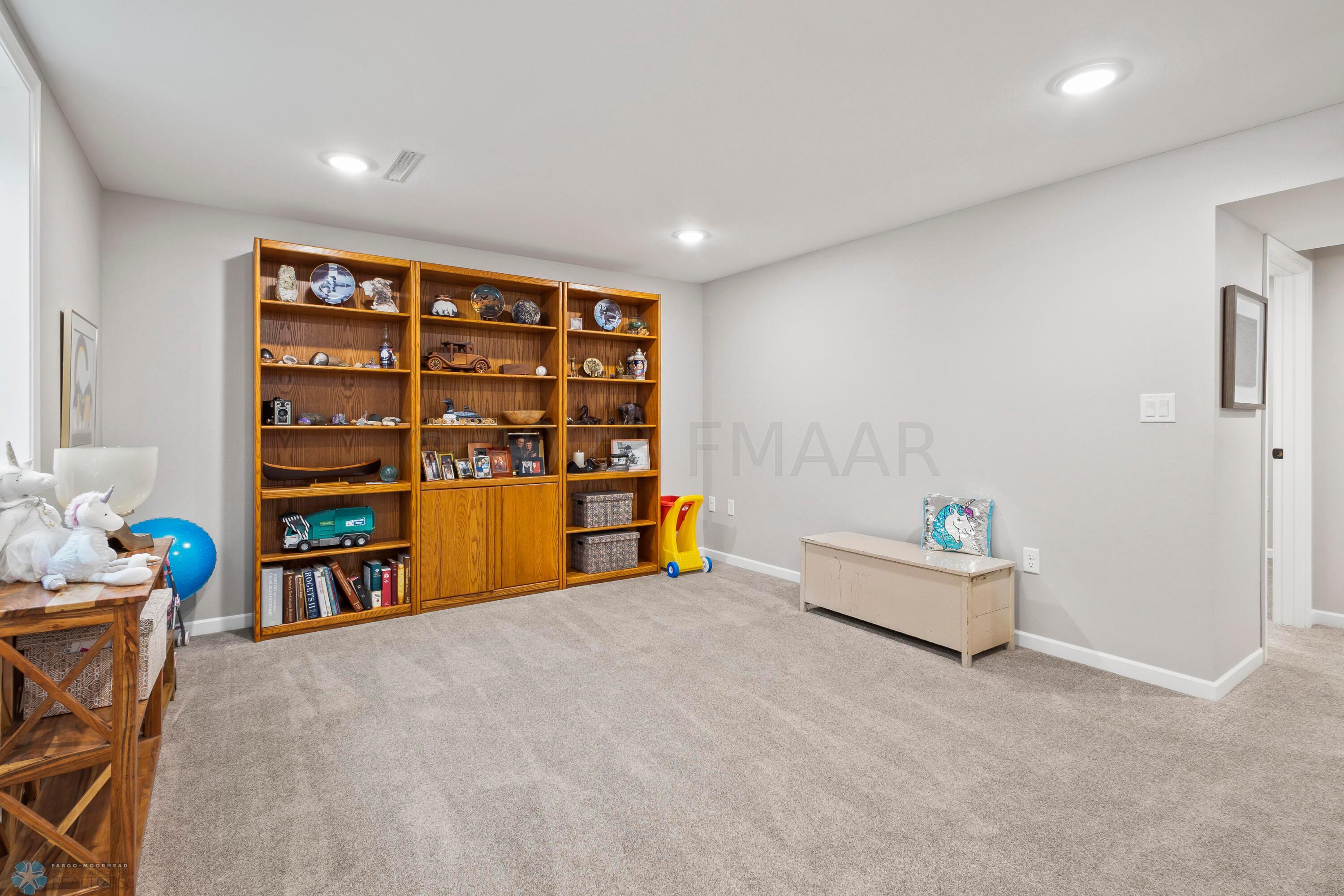 Lower Level Family Room