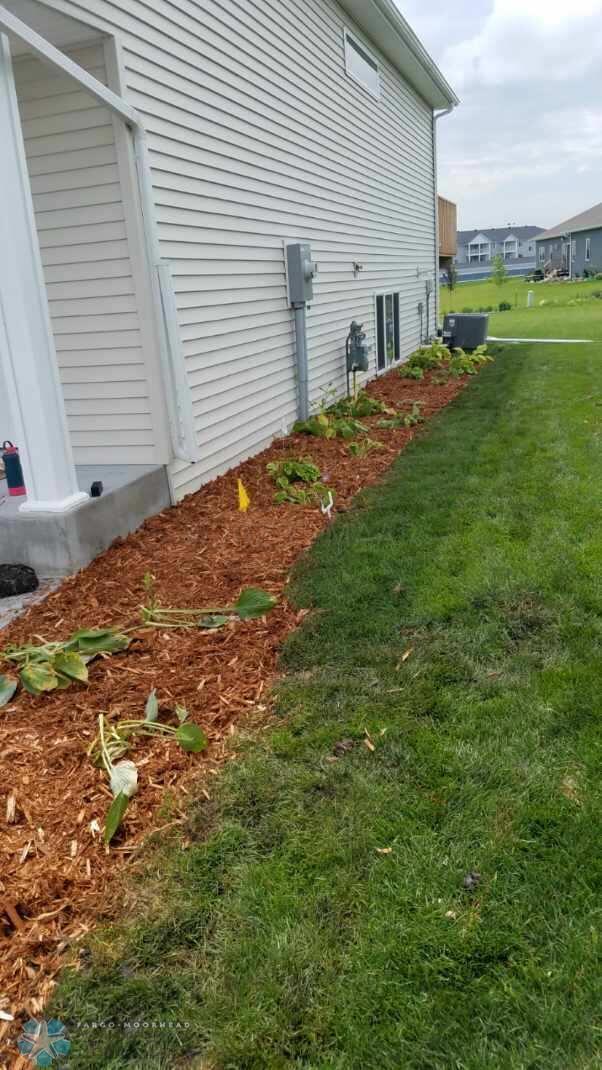 Landscaped