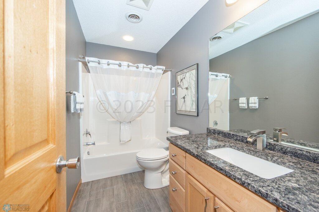 Lower level bathroom 3