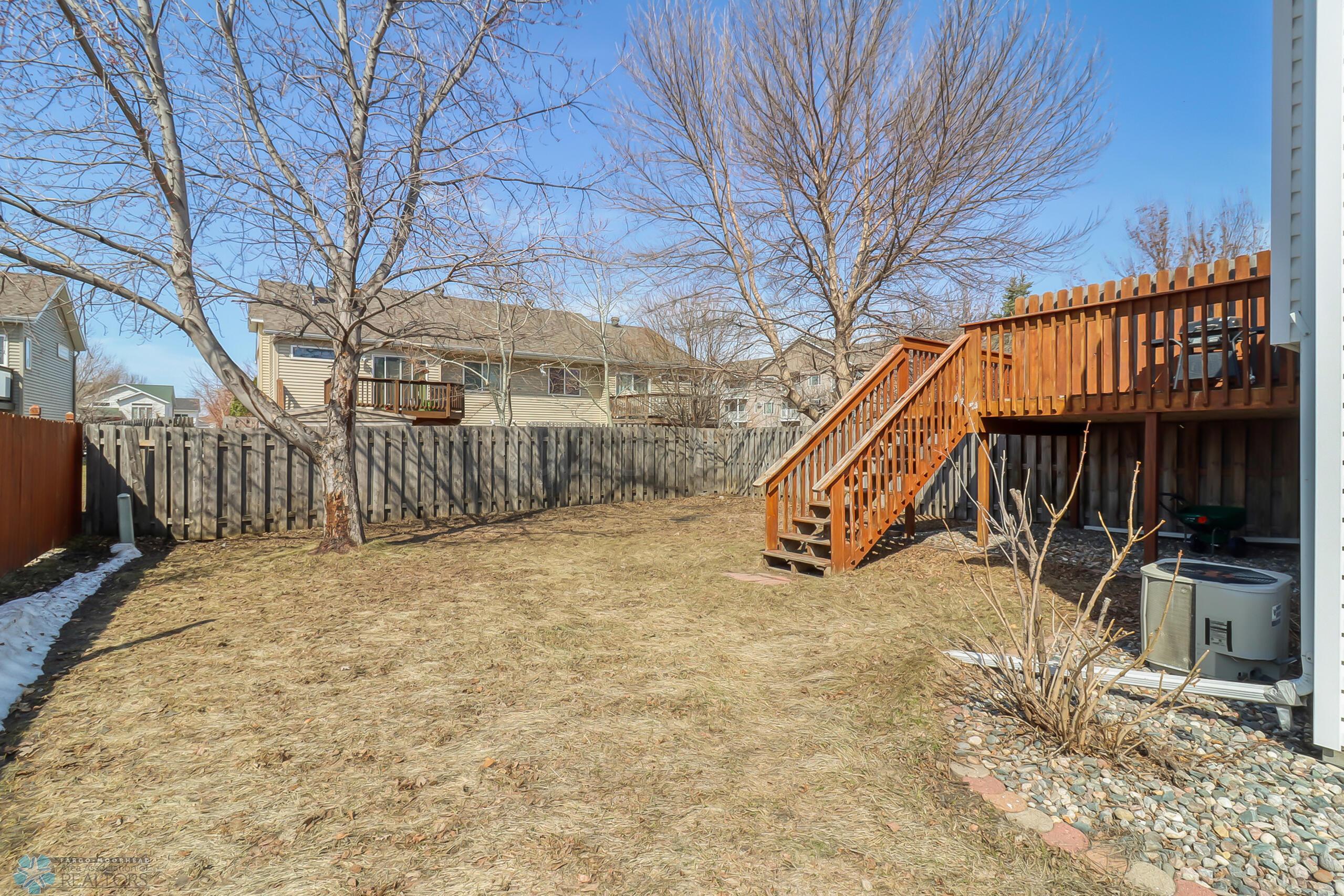 Backyard1_3