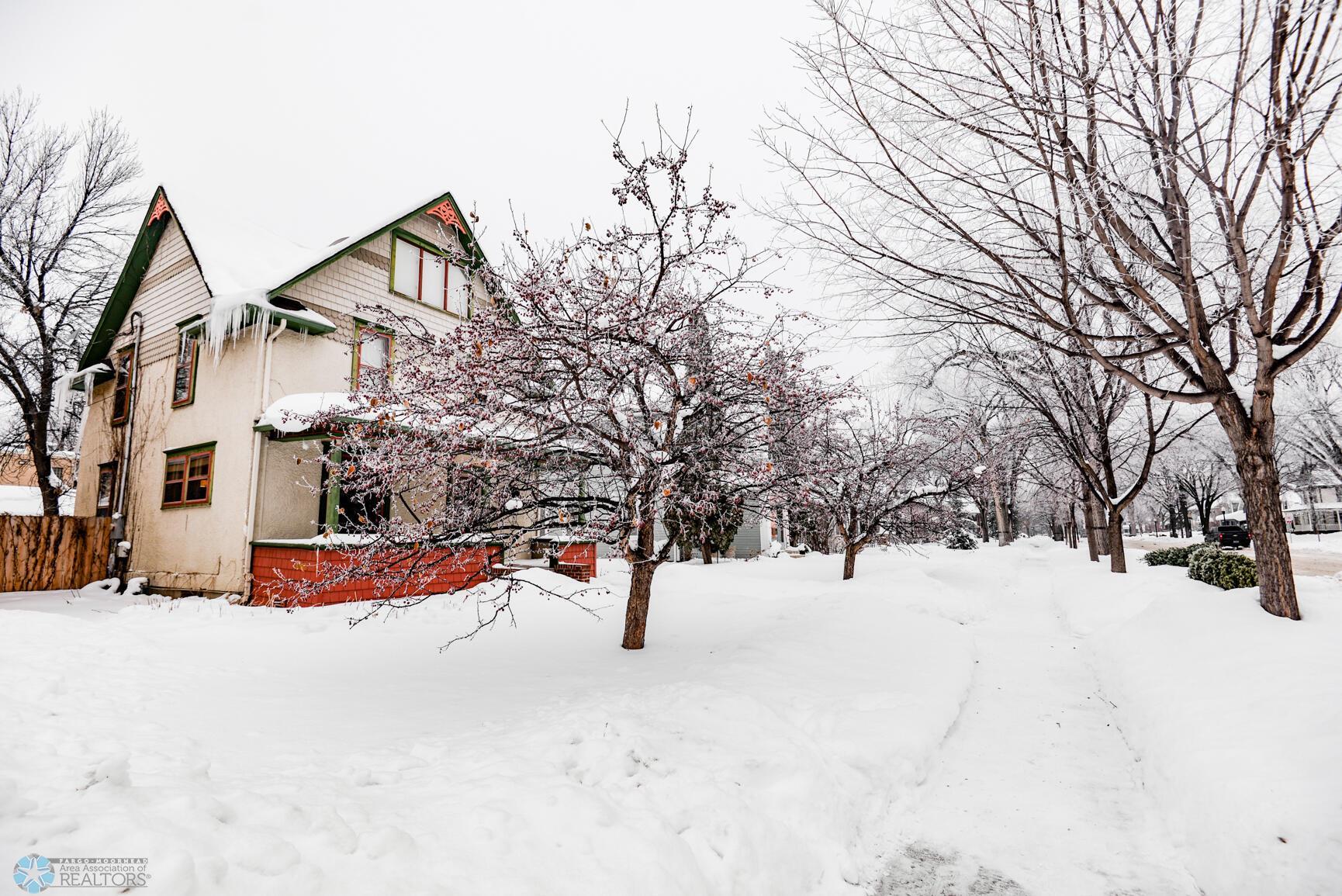 Front Yard