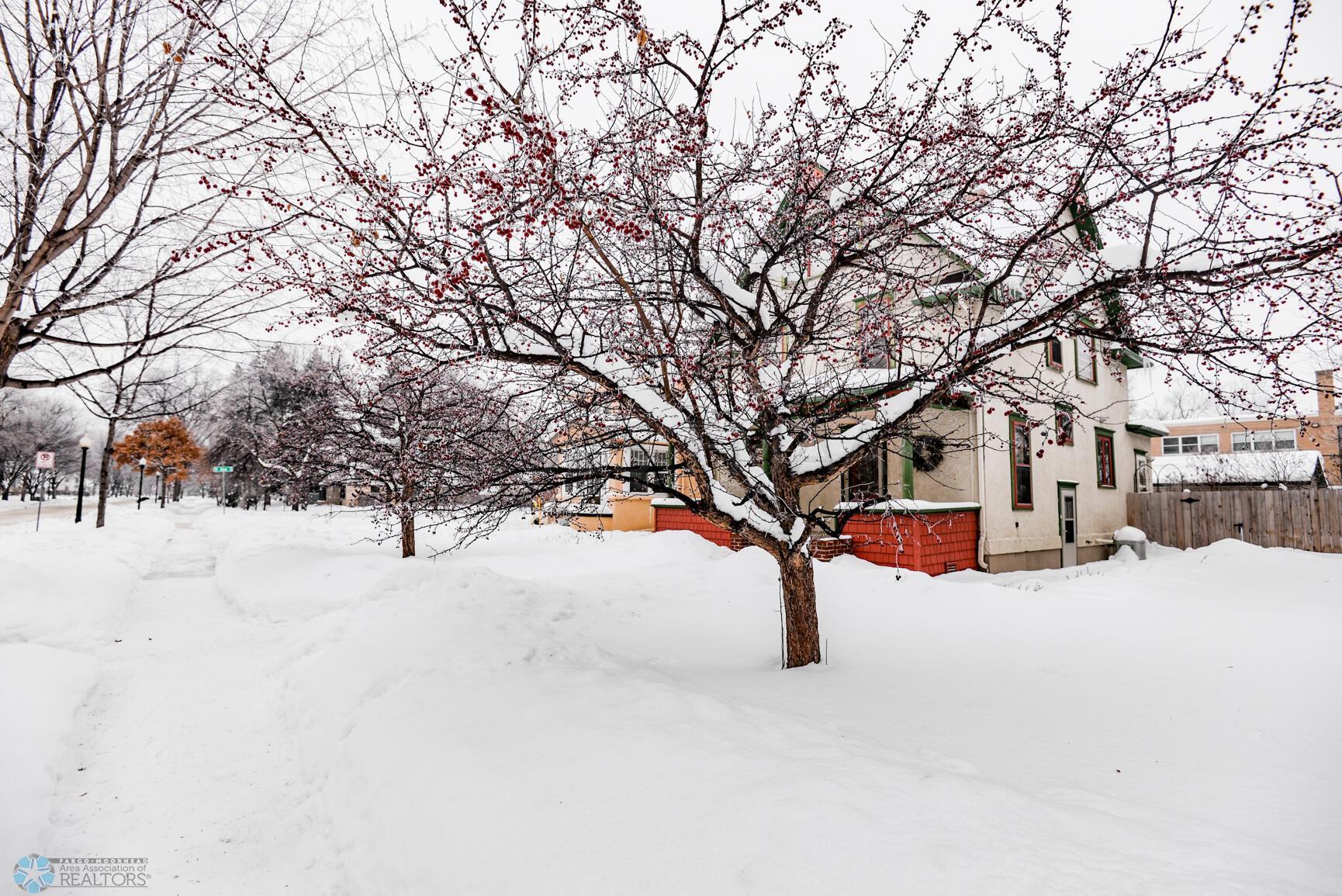 Front Yard