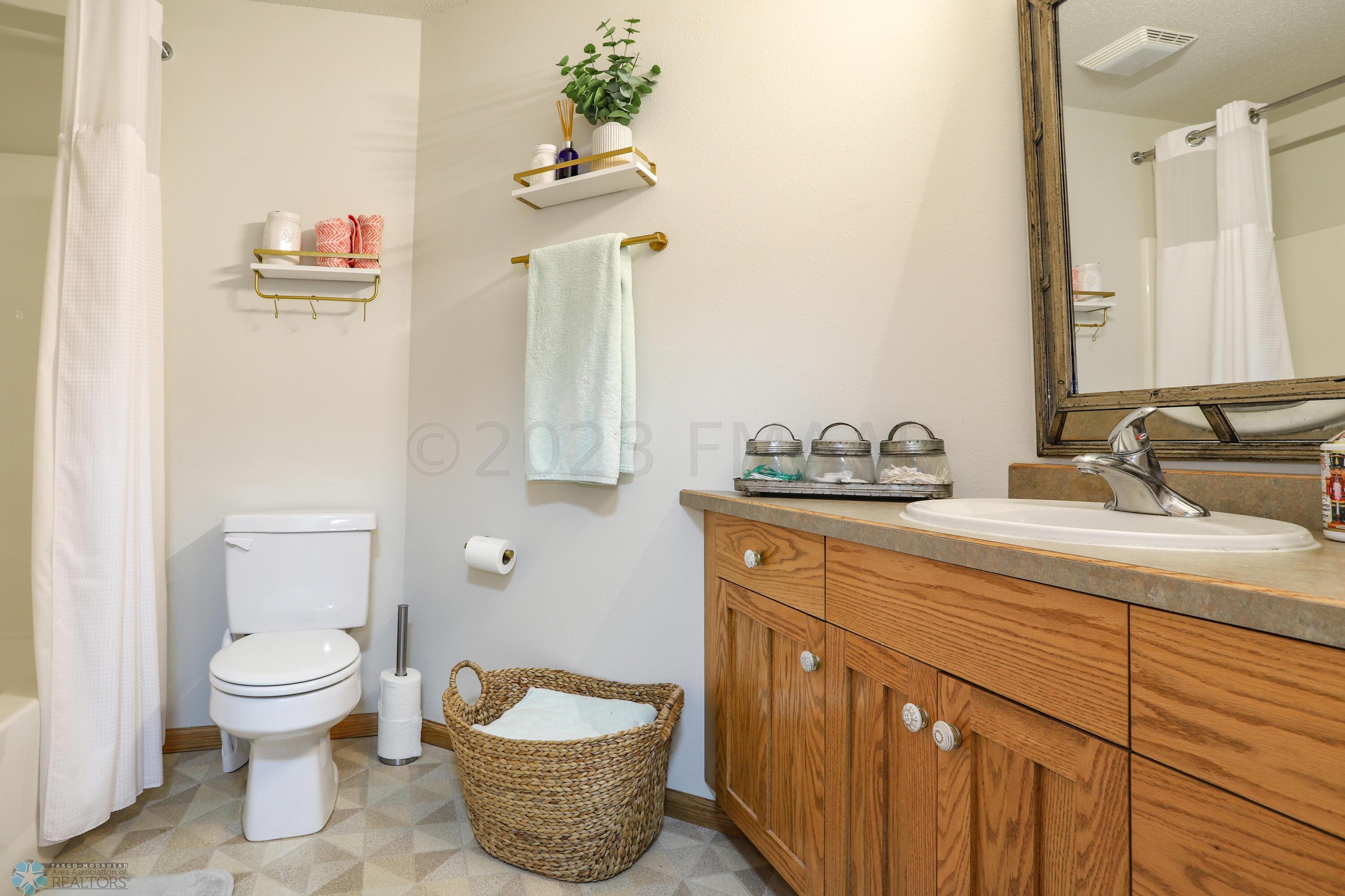 Lower Level Bathroom