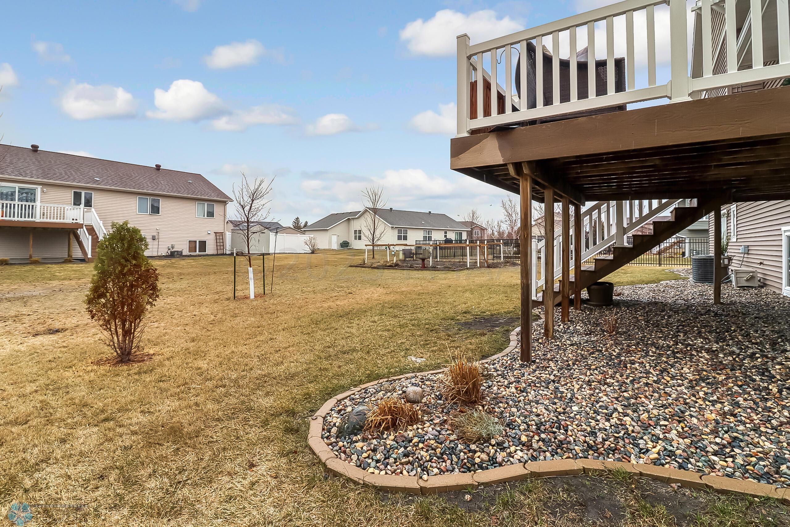 Backyard1_1