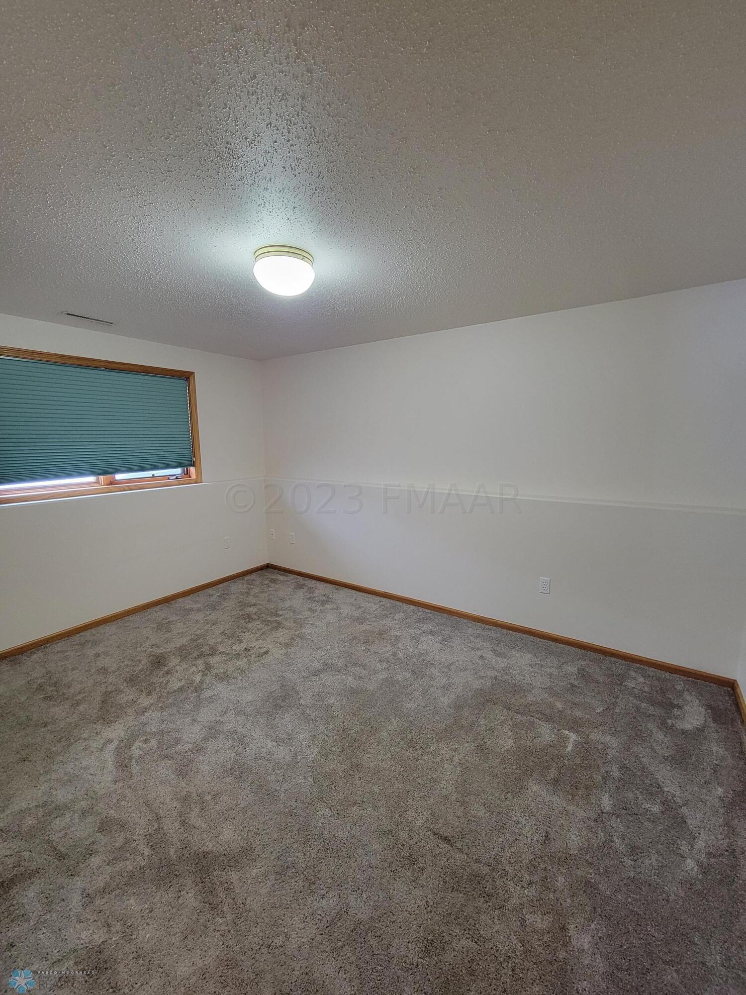 Lower Level Bedroom 1