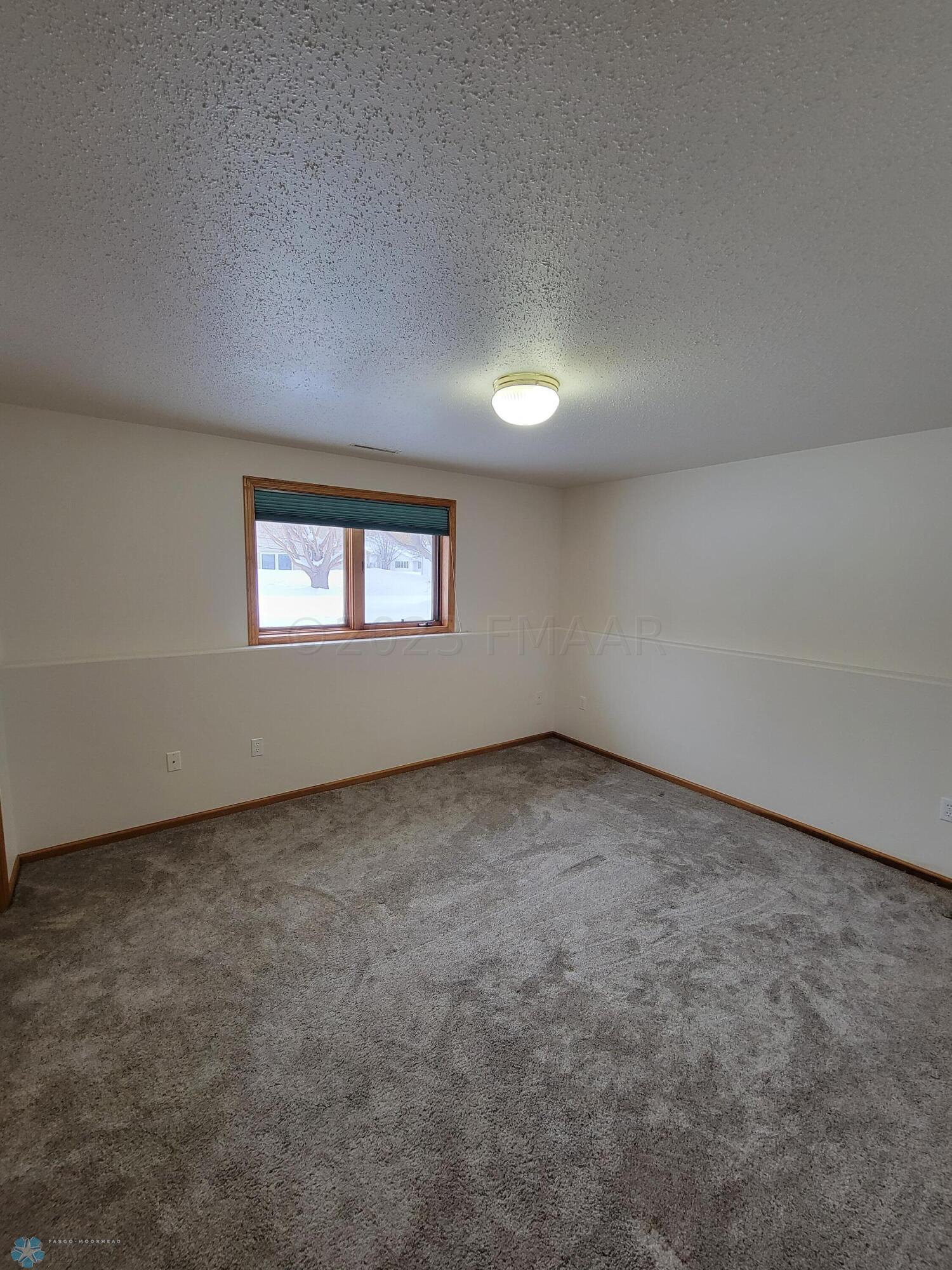 Lower Level Bedroom 2