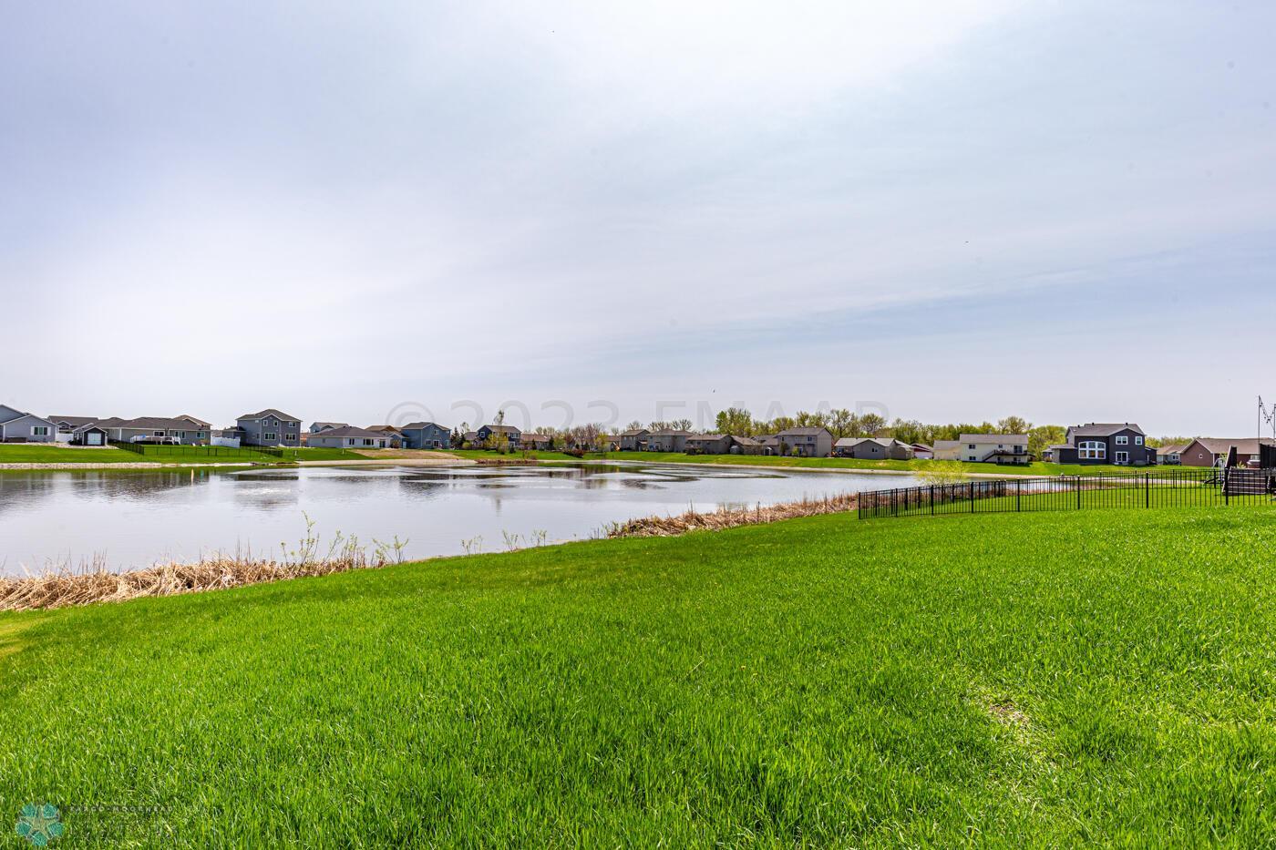 Pond