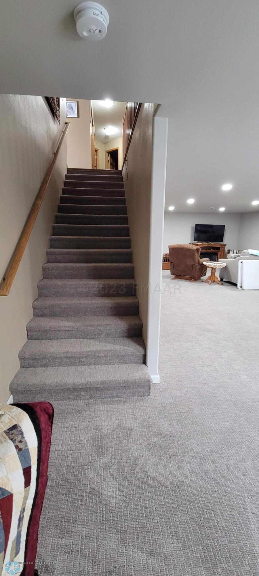 bsmt. Steps