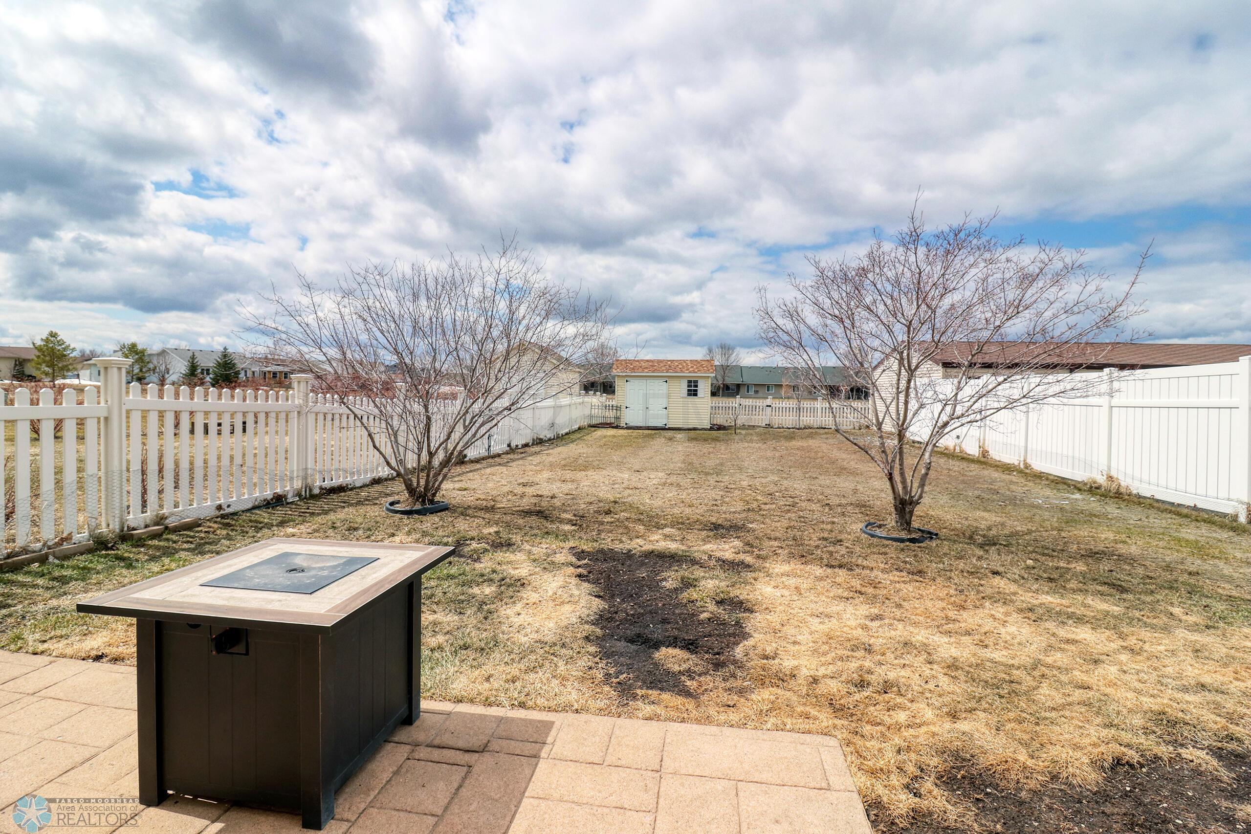 Backyard1_0