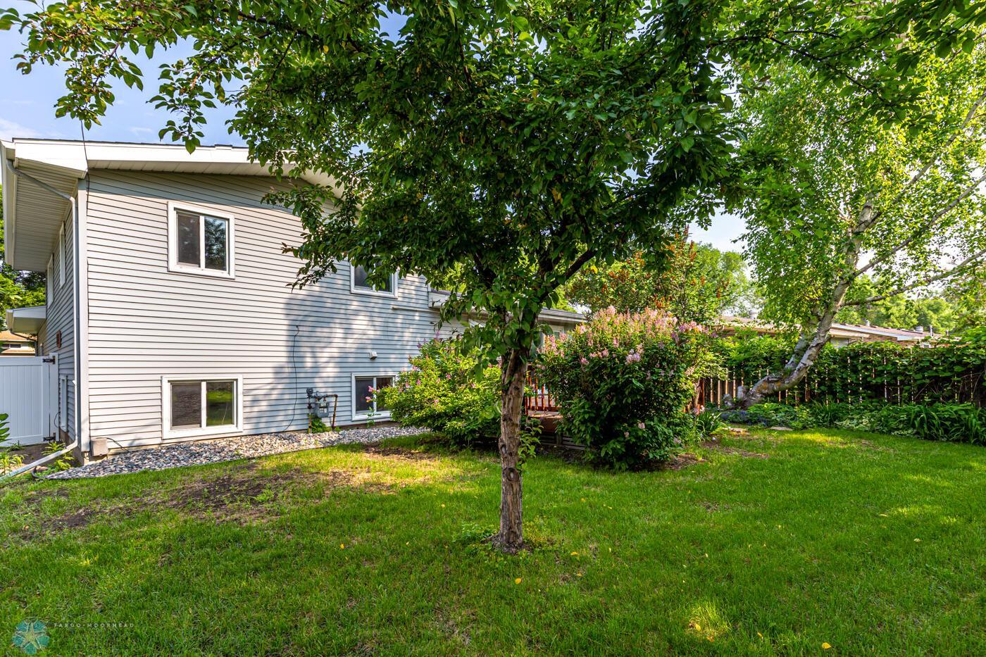 (29) Backyard