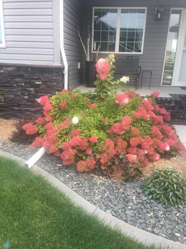 Summertime Front Landscaping