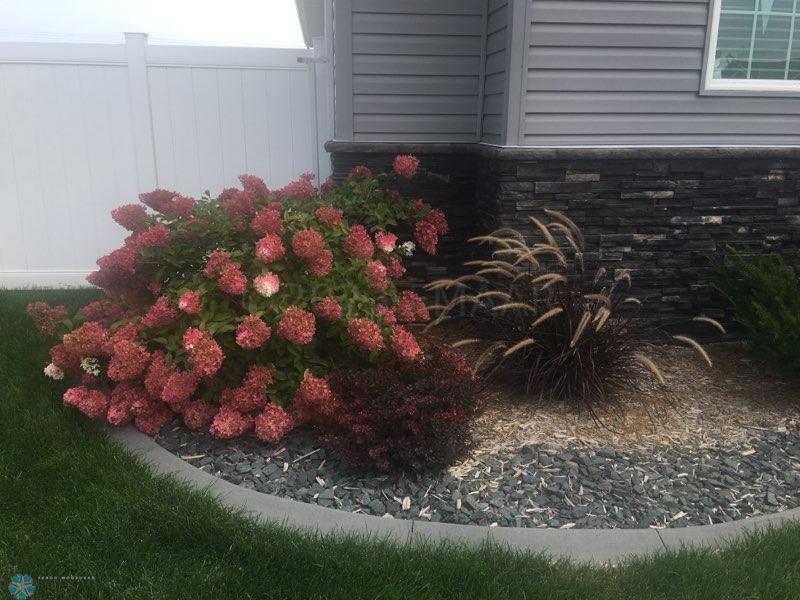 Summertime Front Landscaping