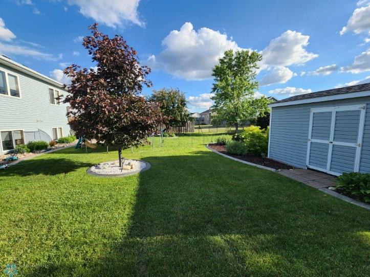 Backyard - Summer