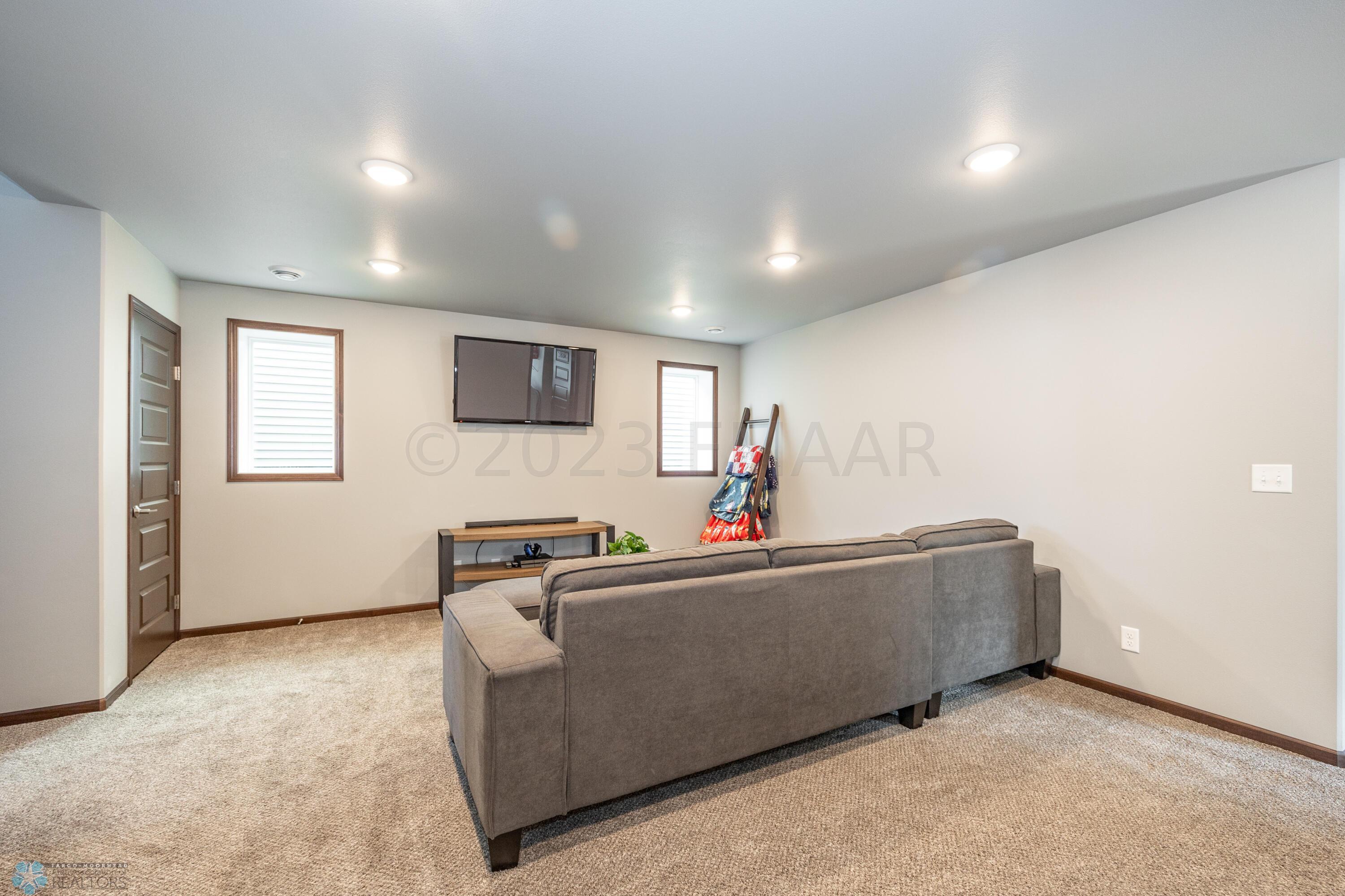 Lower Level Living Room