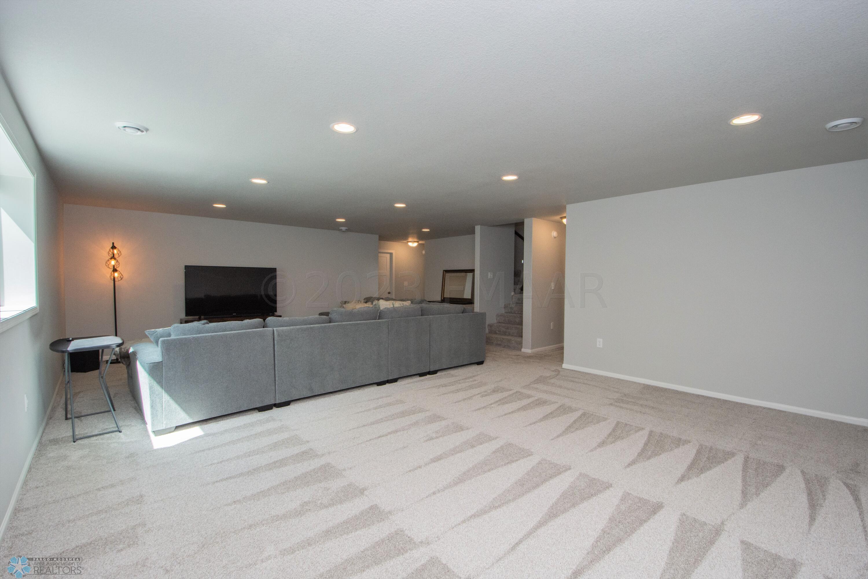 Basement Living area