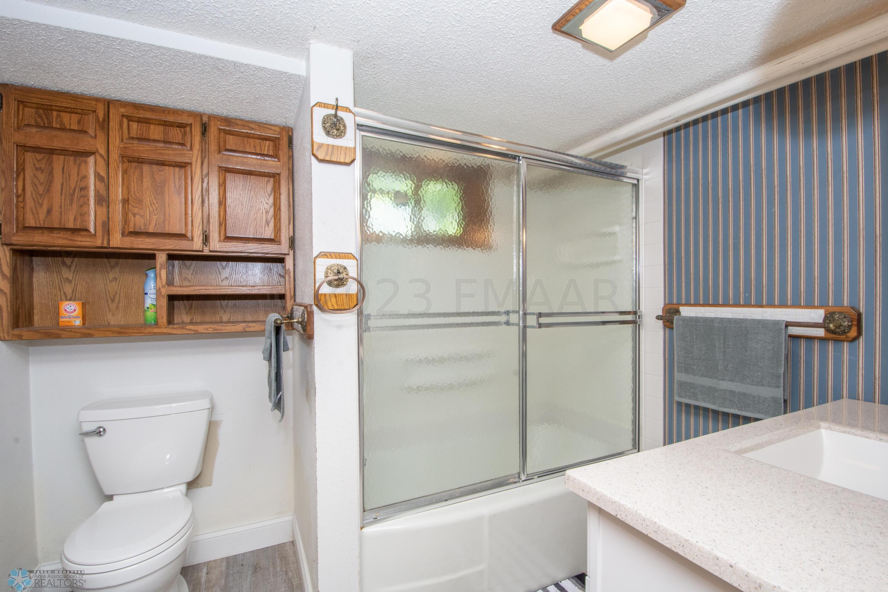 Basement Bathroom