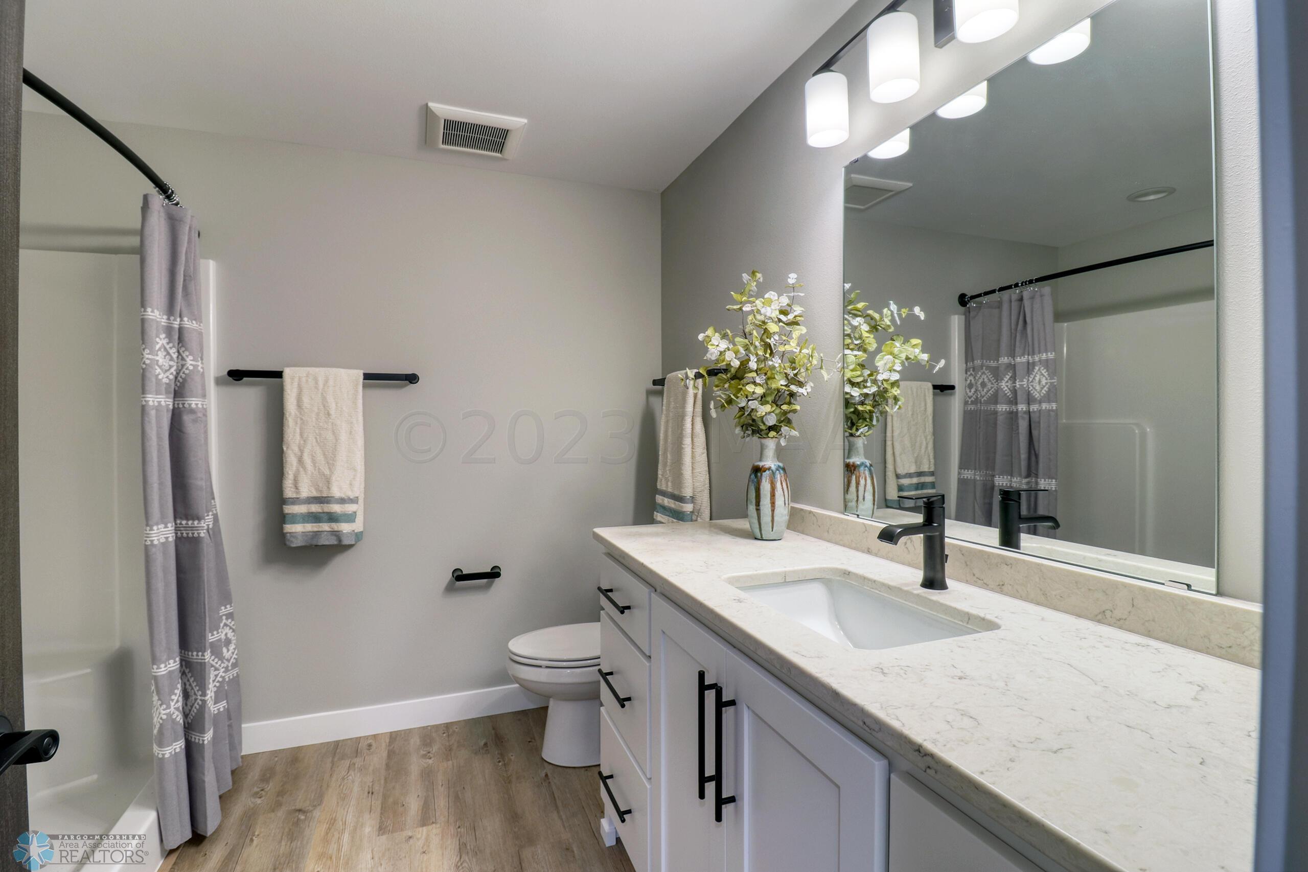 Basement Bathroom1_1