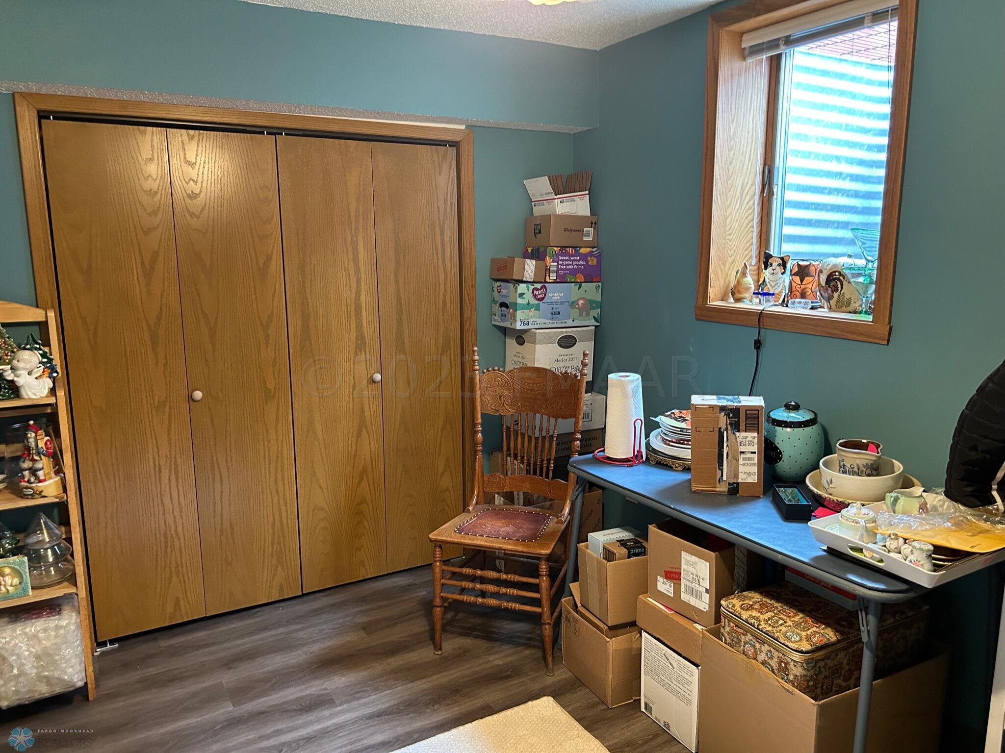 Lower Level Bedroom