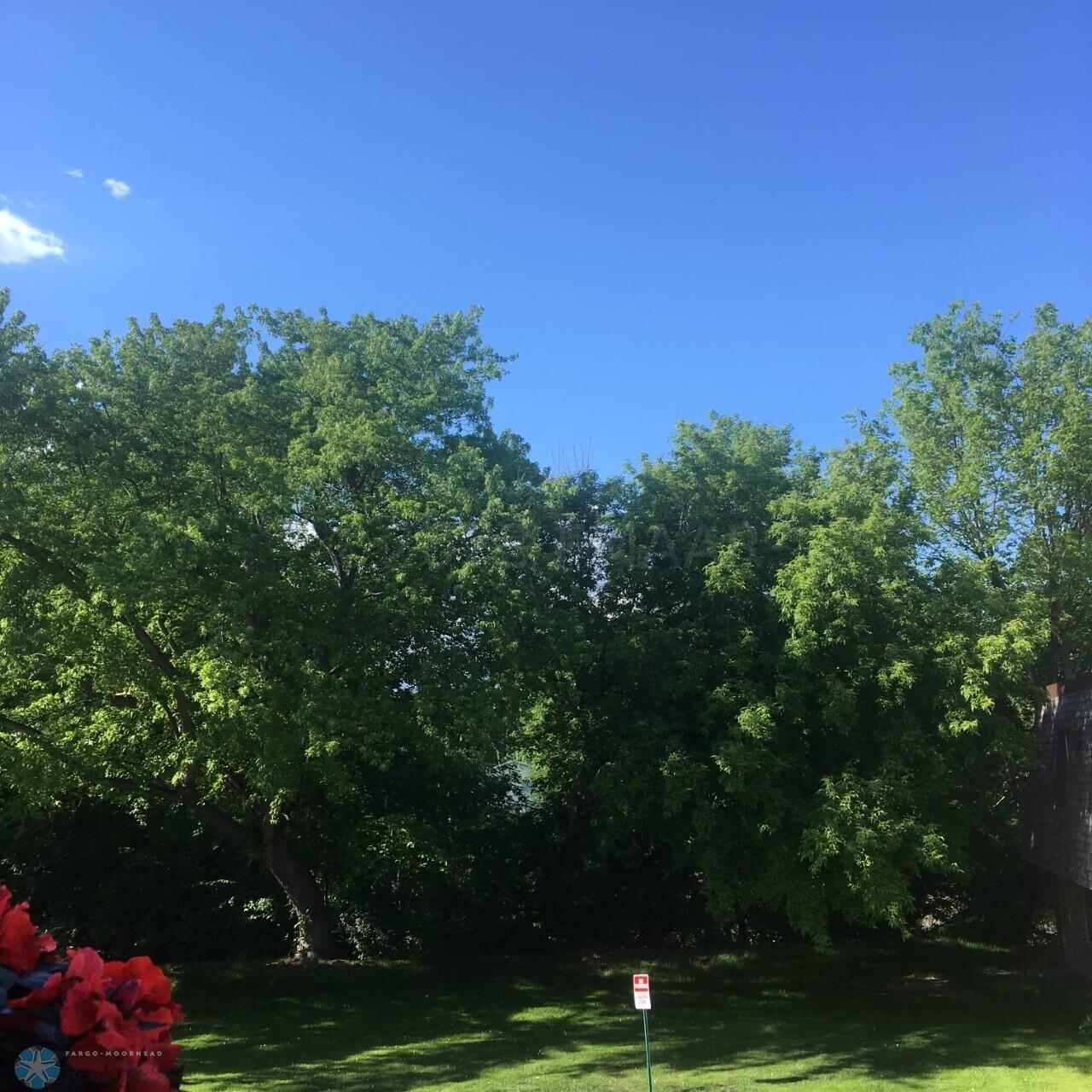 Spring Trees