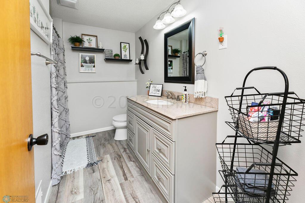 Lower Level Bathroom
