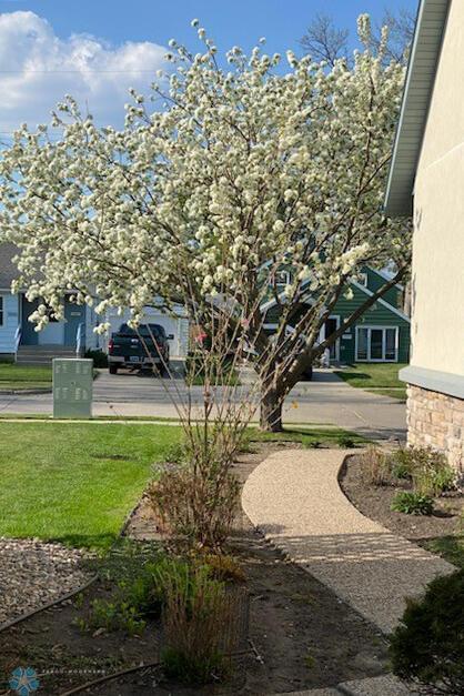Landscaping