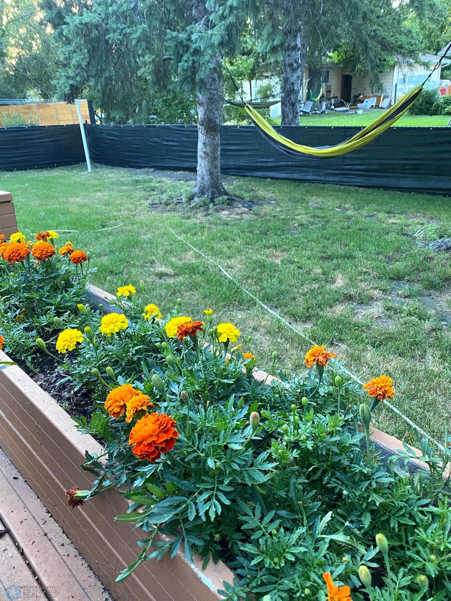 FLOWER BOXES